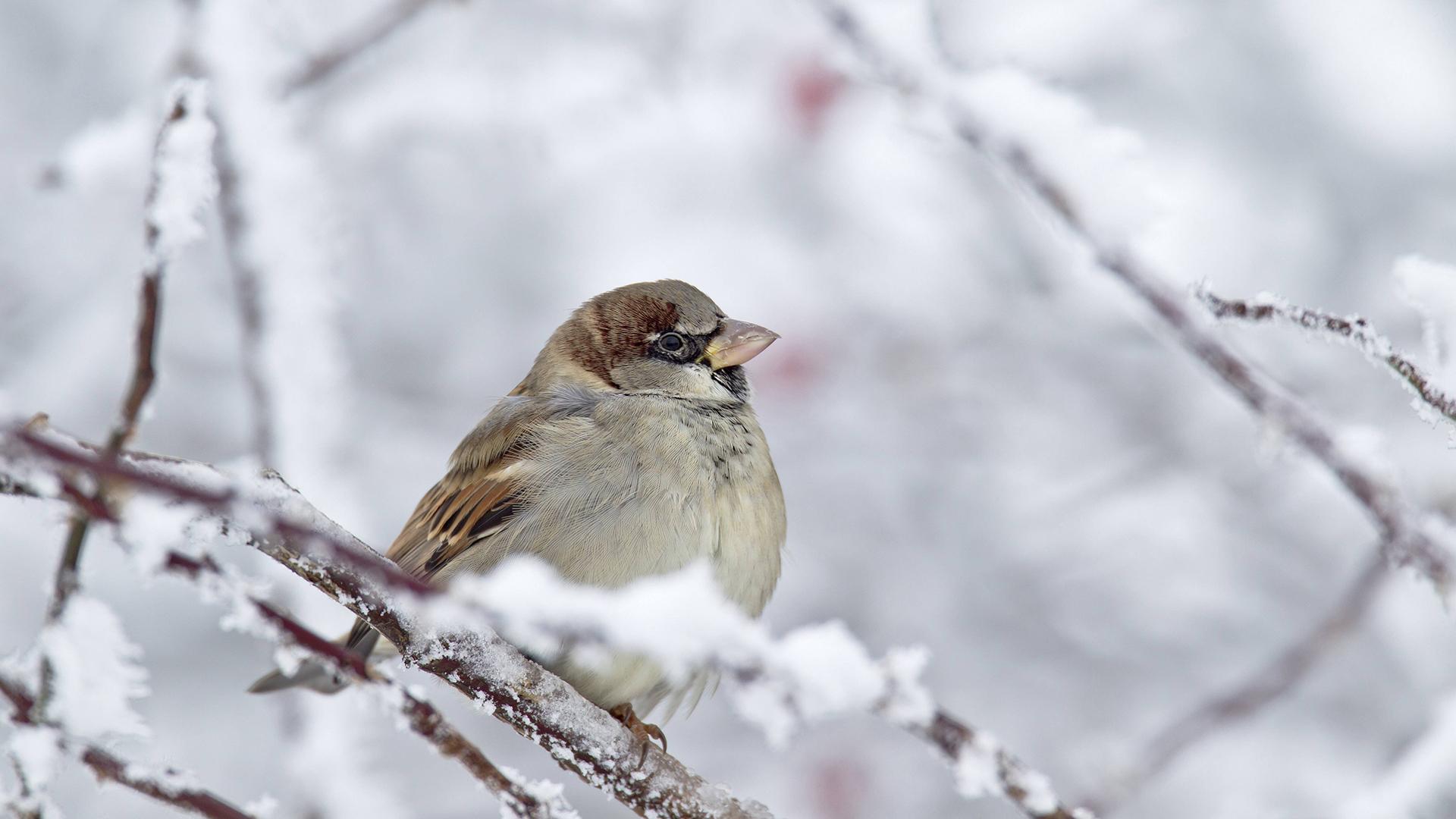 Фото: imago stock&people globallookpress.com