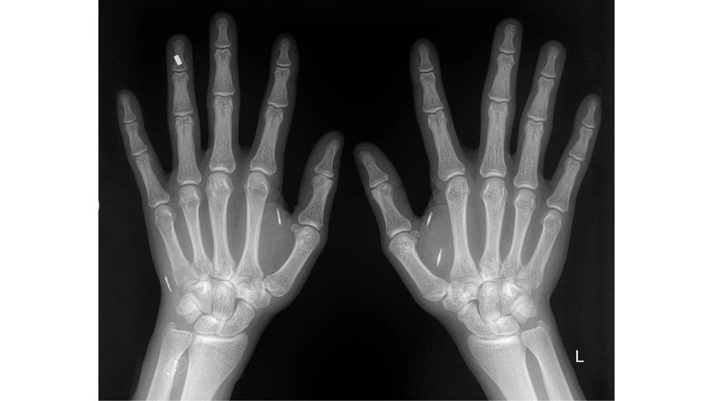 Фото: »КП-Петербург