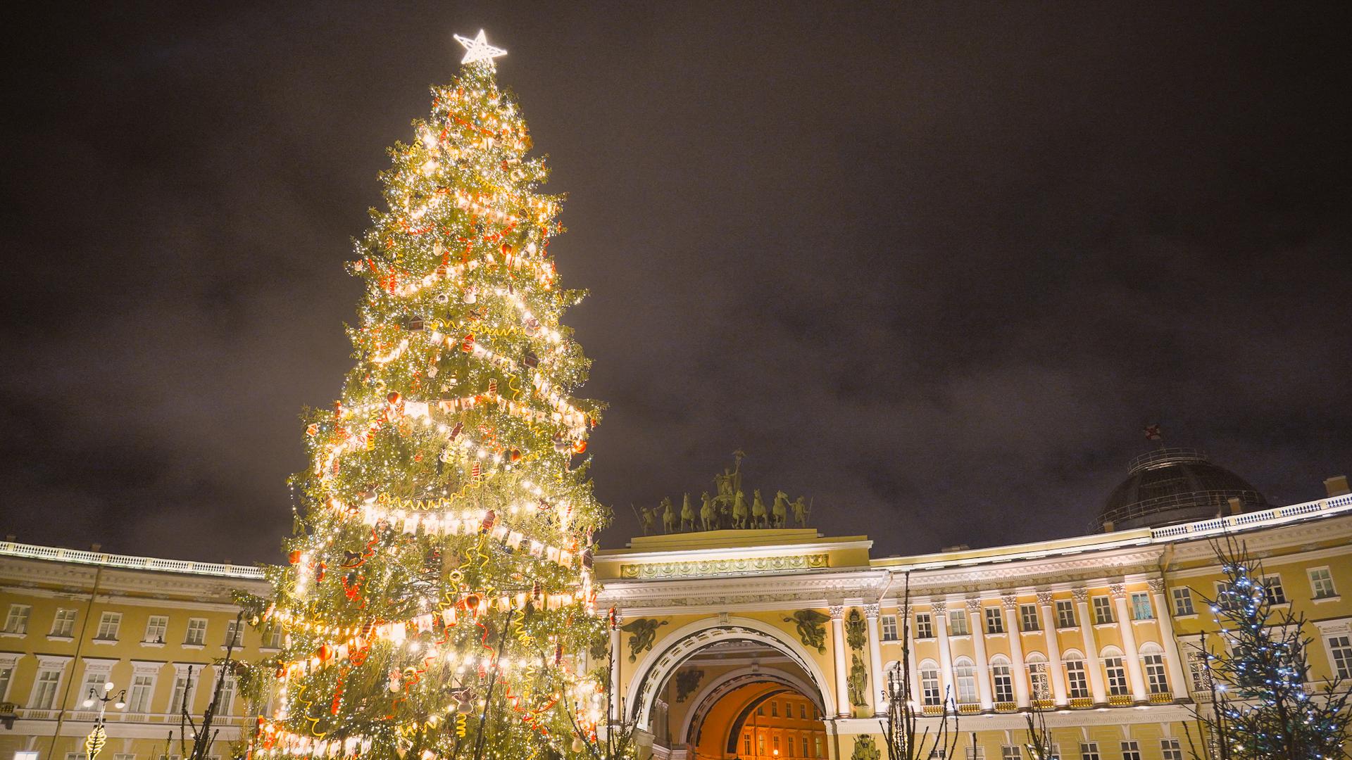 Фото: пресс-служба администрации Петербурга