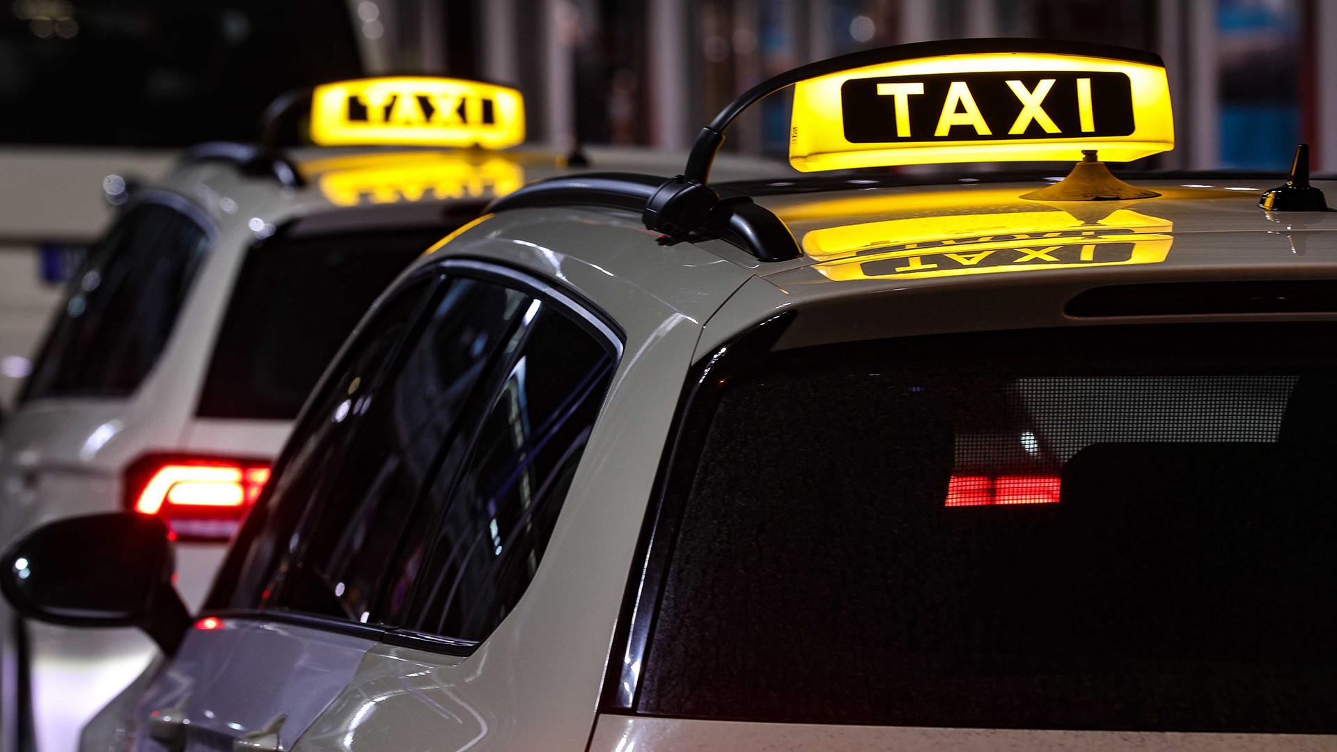 Фото: Tino Plunert globallookpress.com