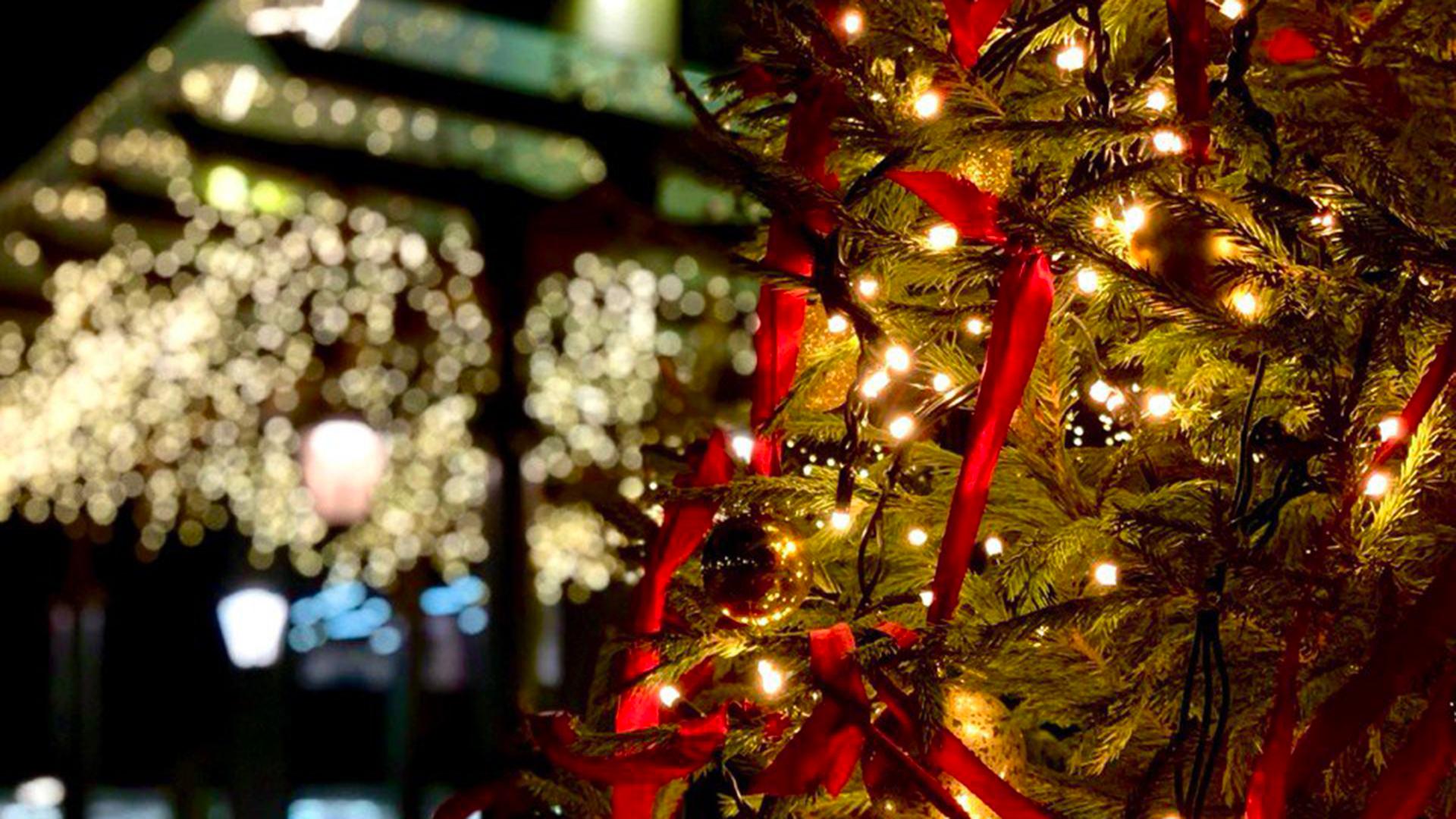 Фото: dominapulkovo.ru