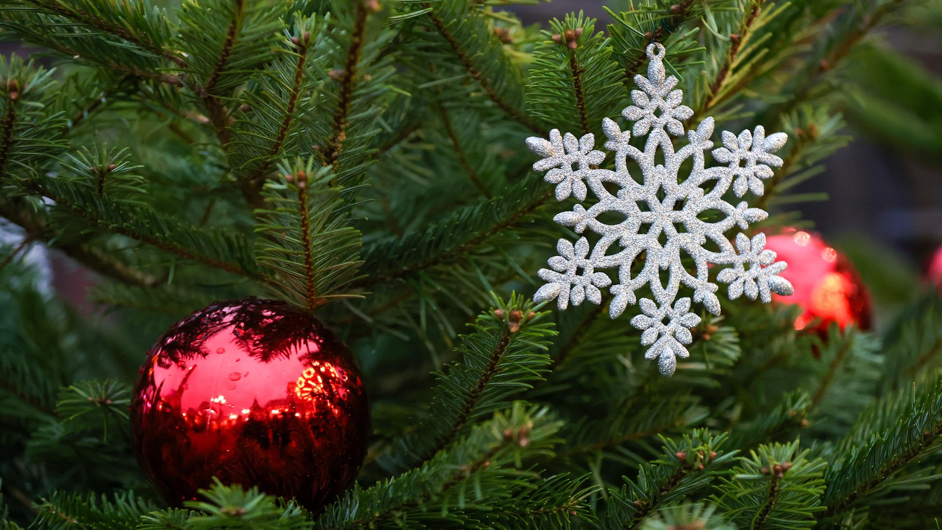 Фото: Shatokhina Natalia globallookpress.com