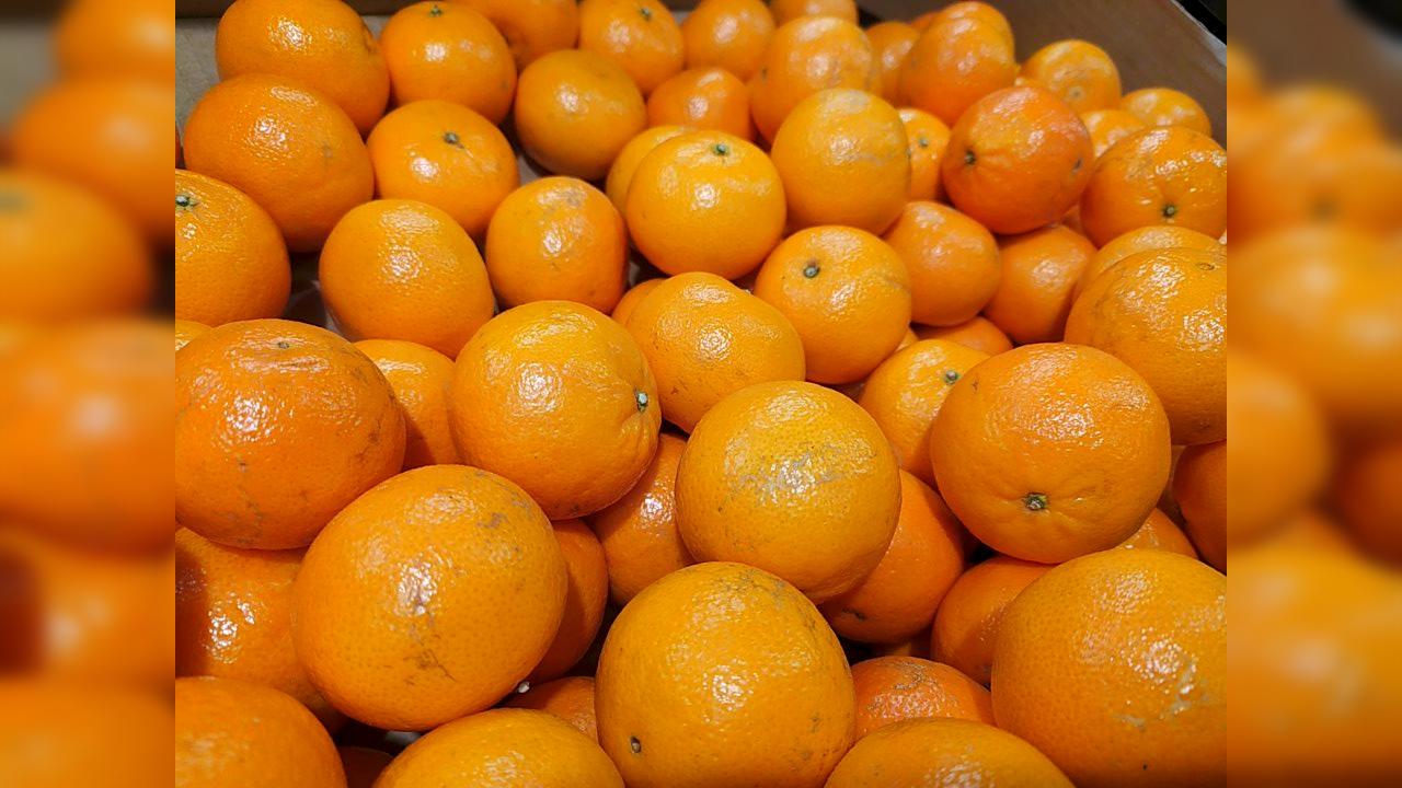 Фото: Maksim Konstantinov globallookpress.com