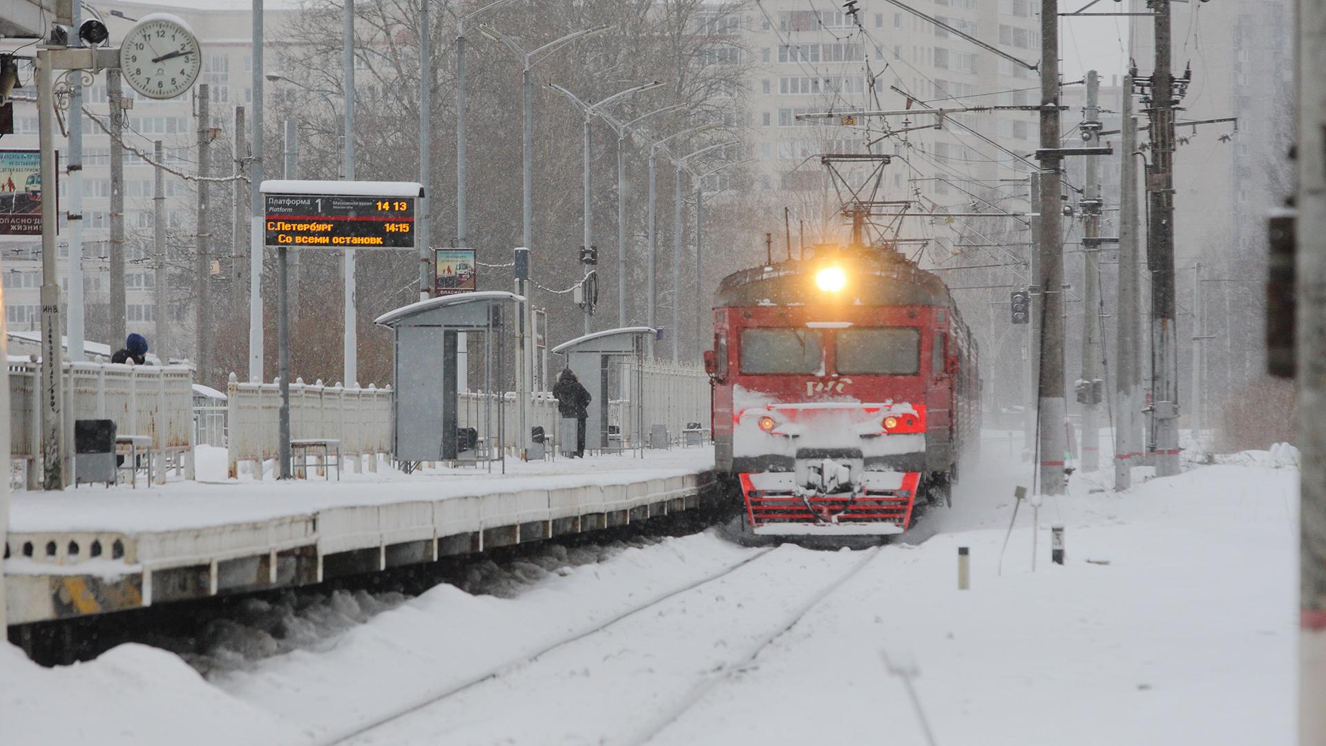 Фото: Zamir Usmanov globallookpress.com