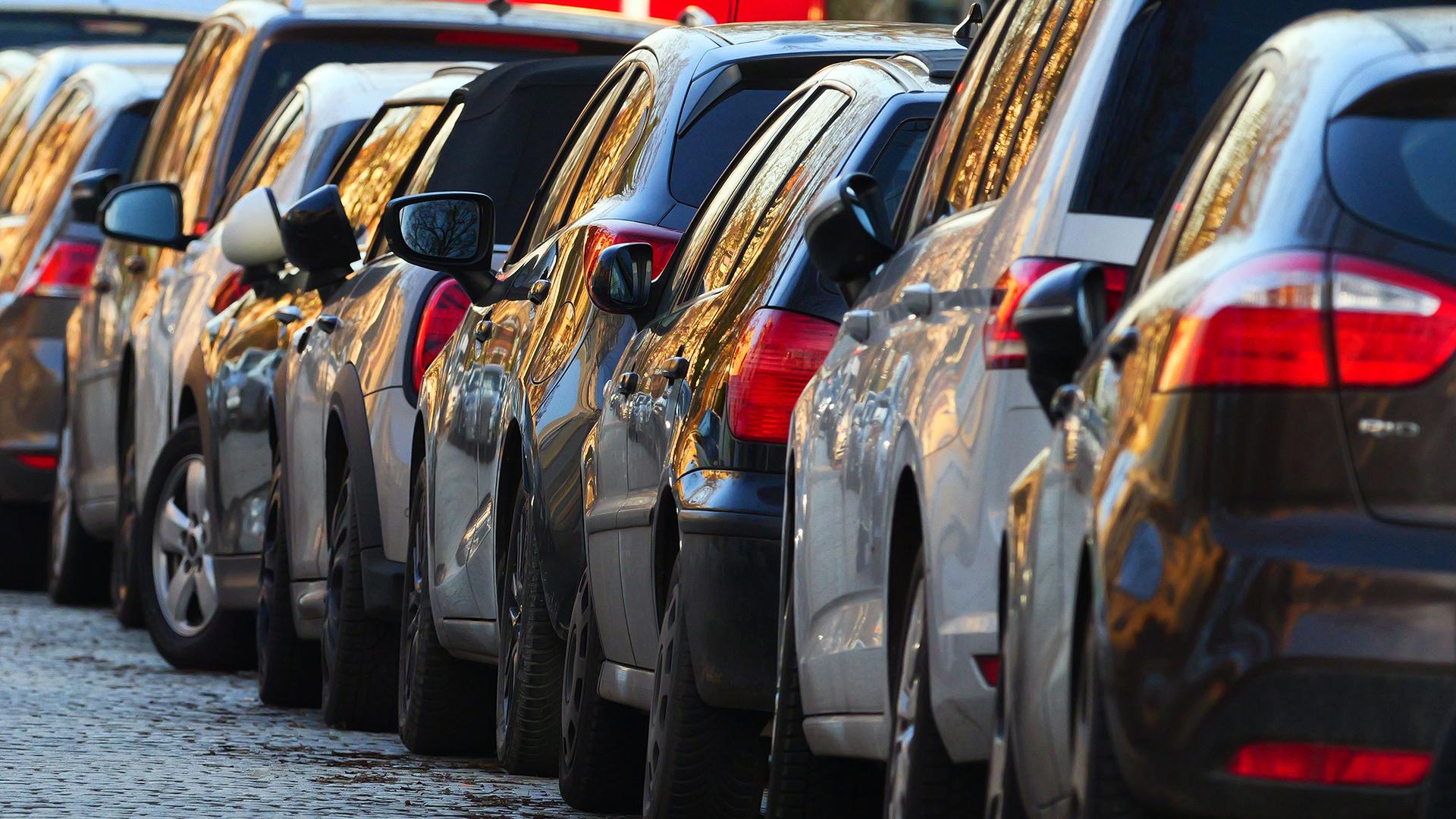 Фото: Wolfram Steinberg globallookpress.com