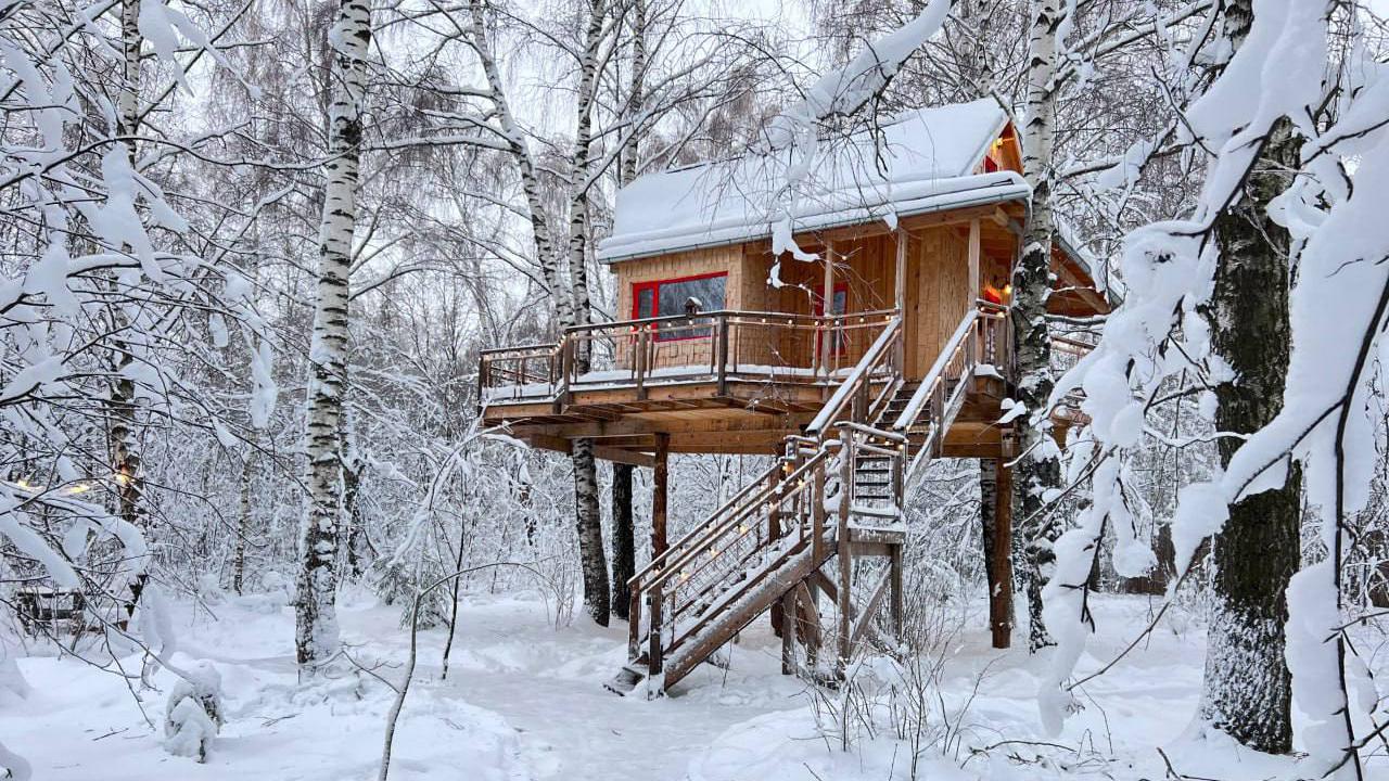 Фото: t.me lapochkino_gnezdo