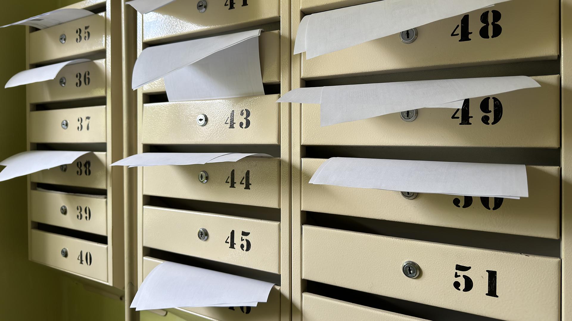 Фото: Alexander Legky globallookpress.com