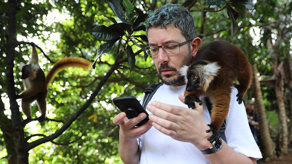 Фото: t.me temalebedev