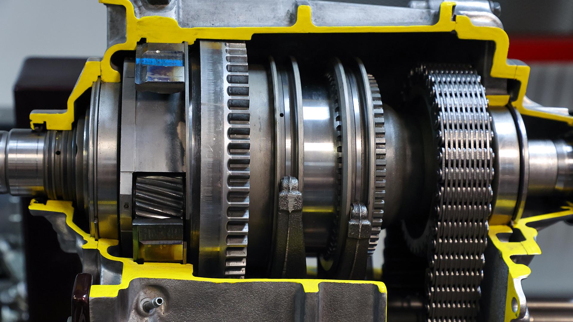 Фото: Belkin Alexey globallookpress.com