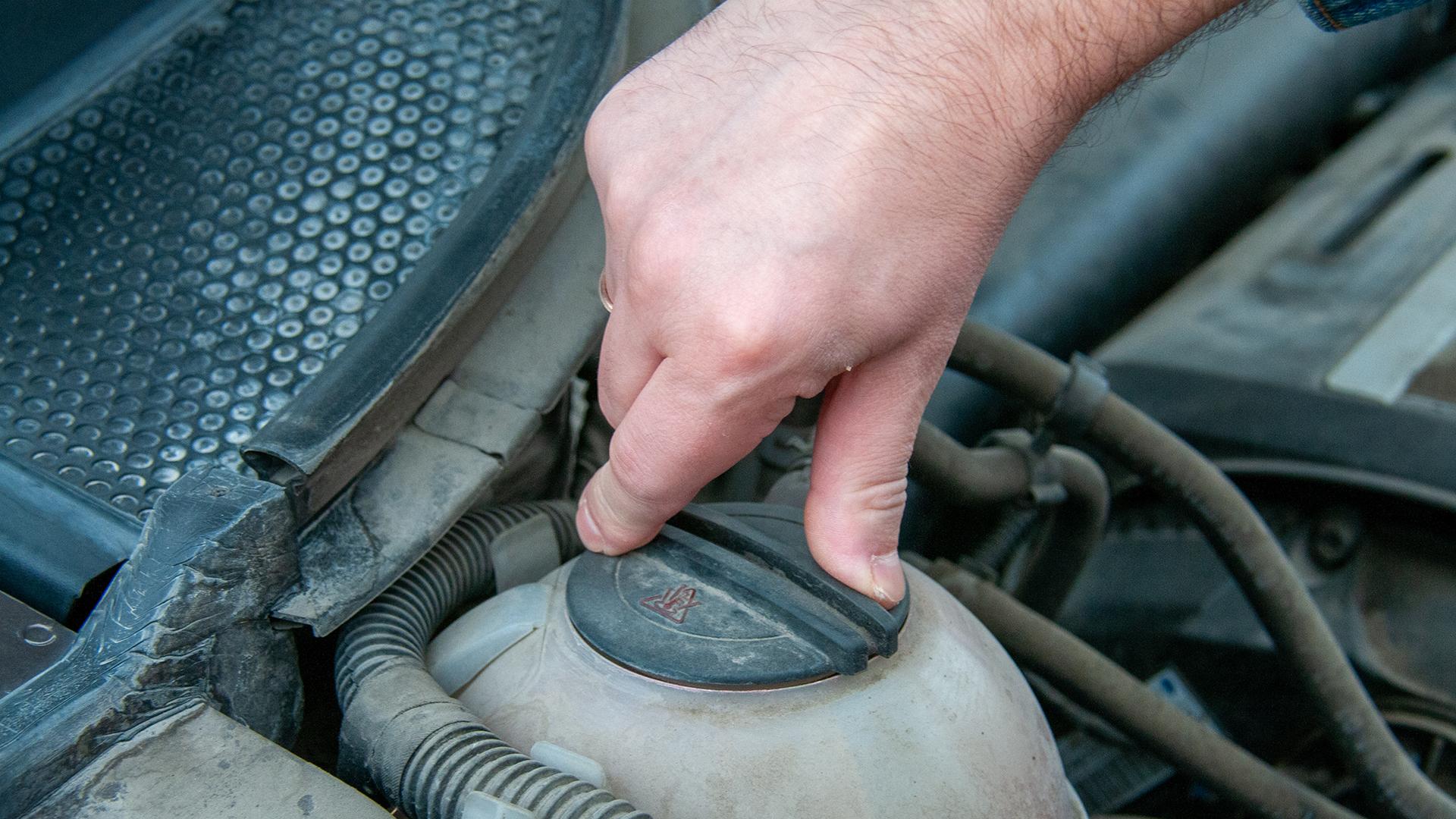 Фото: Svetlana Vozmilova globallookpress.com