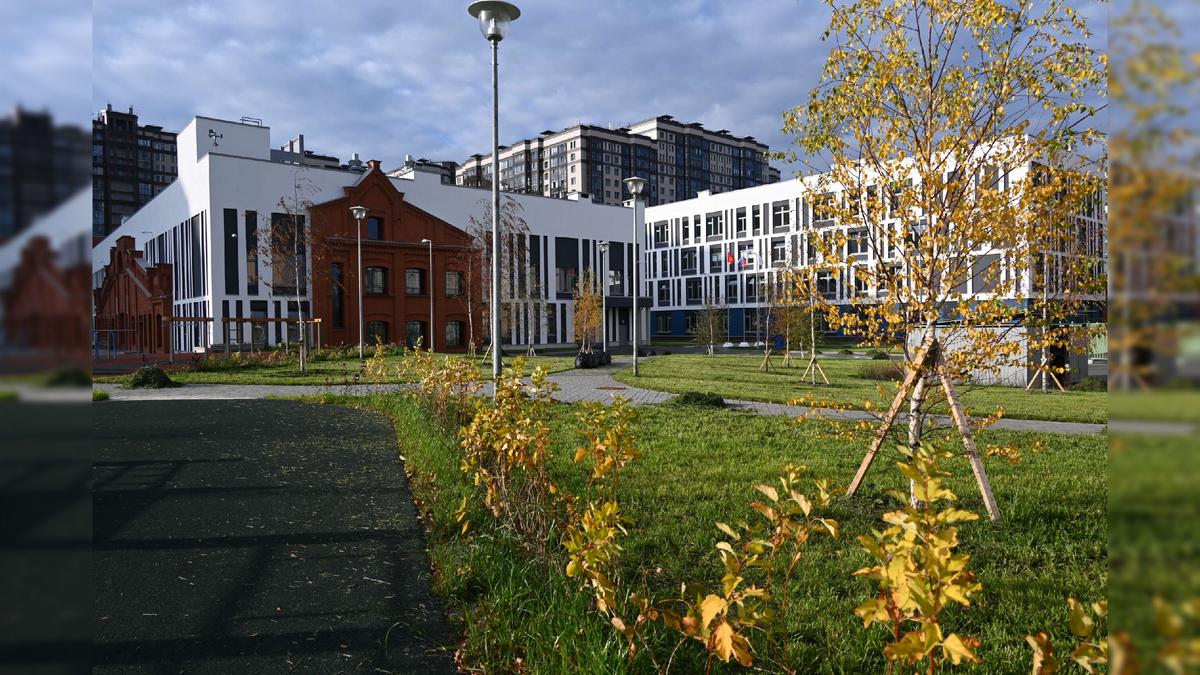 Фото: school703.ru