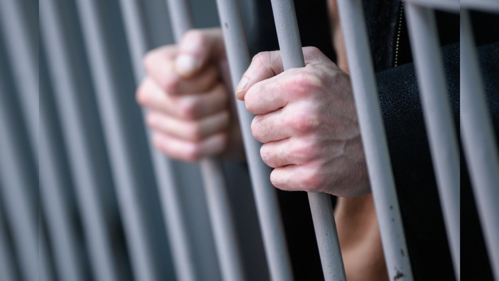 Фото: Ilya Moskovets   globallookpress.com