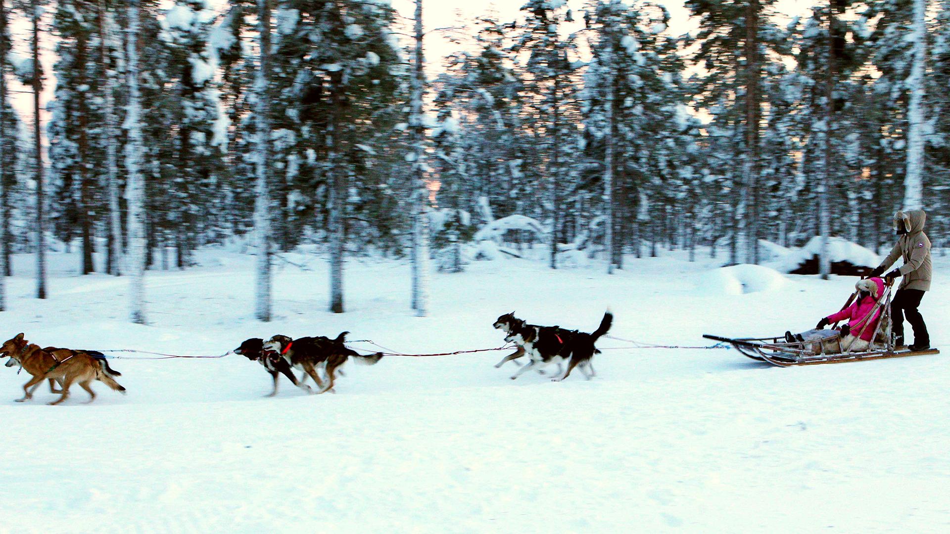 Фото: Li Jizhi globallookpress.com