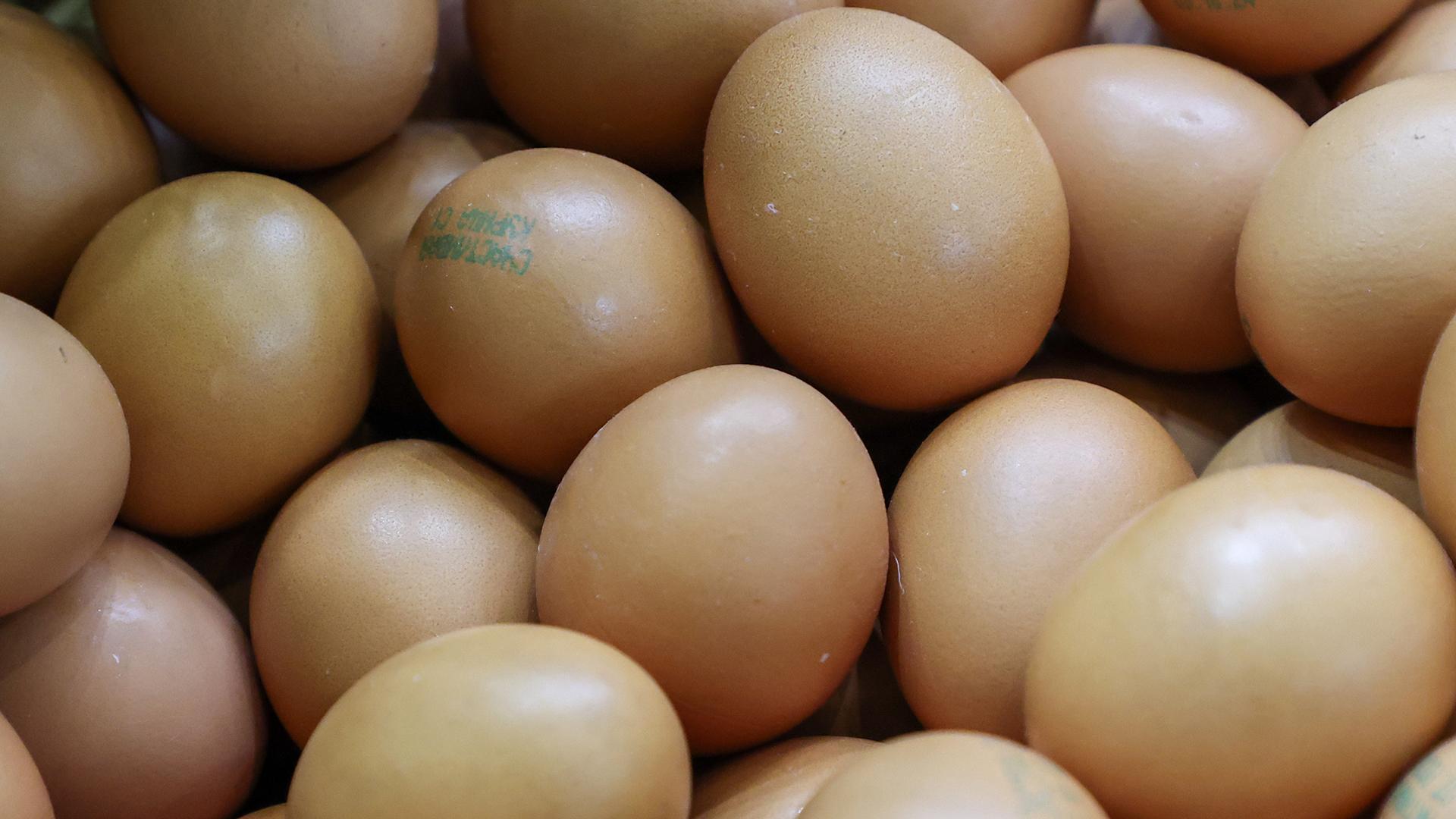 Фото: Belkin Alexey globallookpress.com