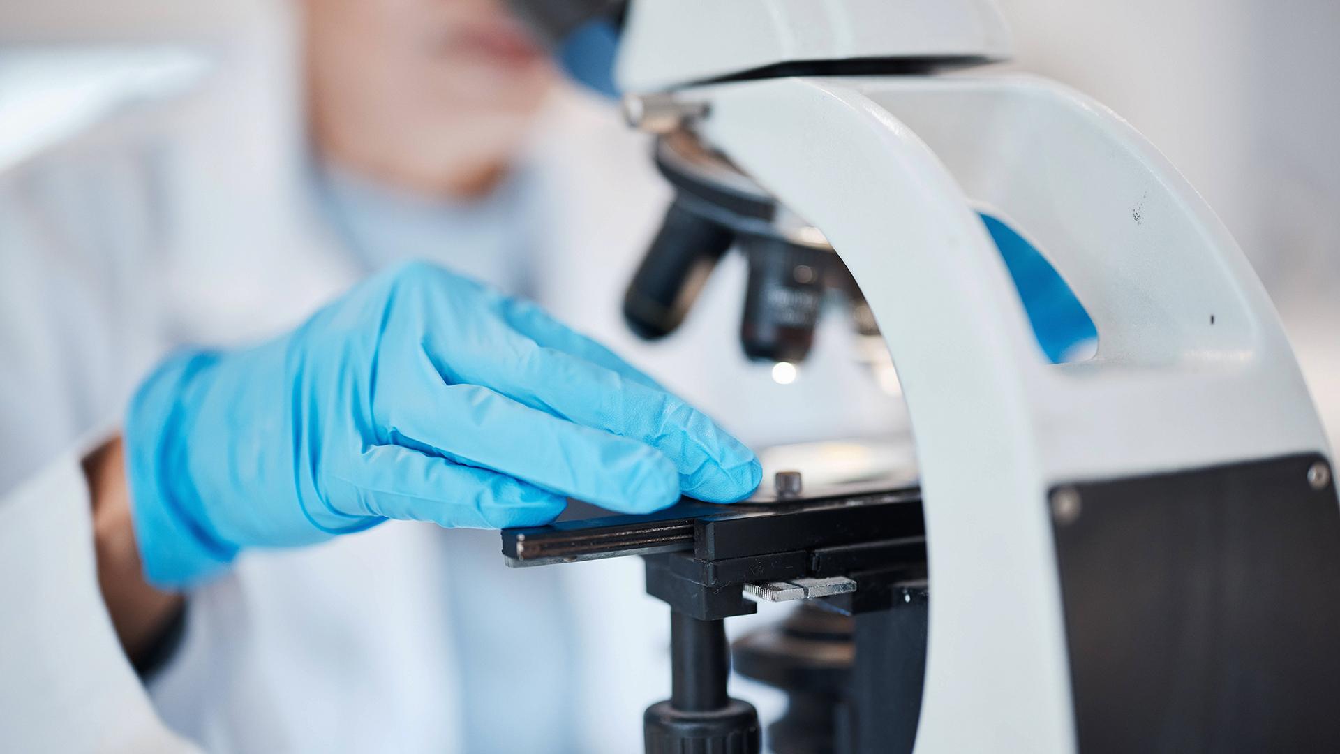 Фото: IMAGO Zoonar.com Kasper Ravlo globallookpress.com