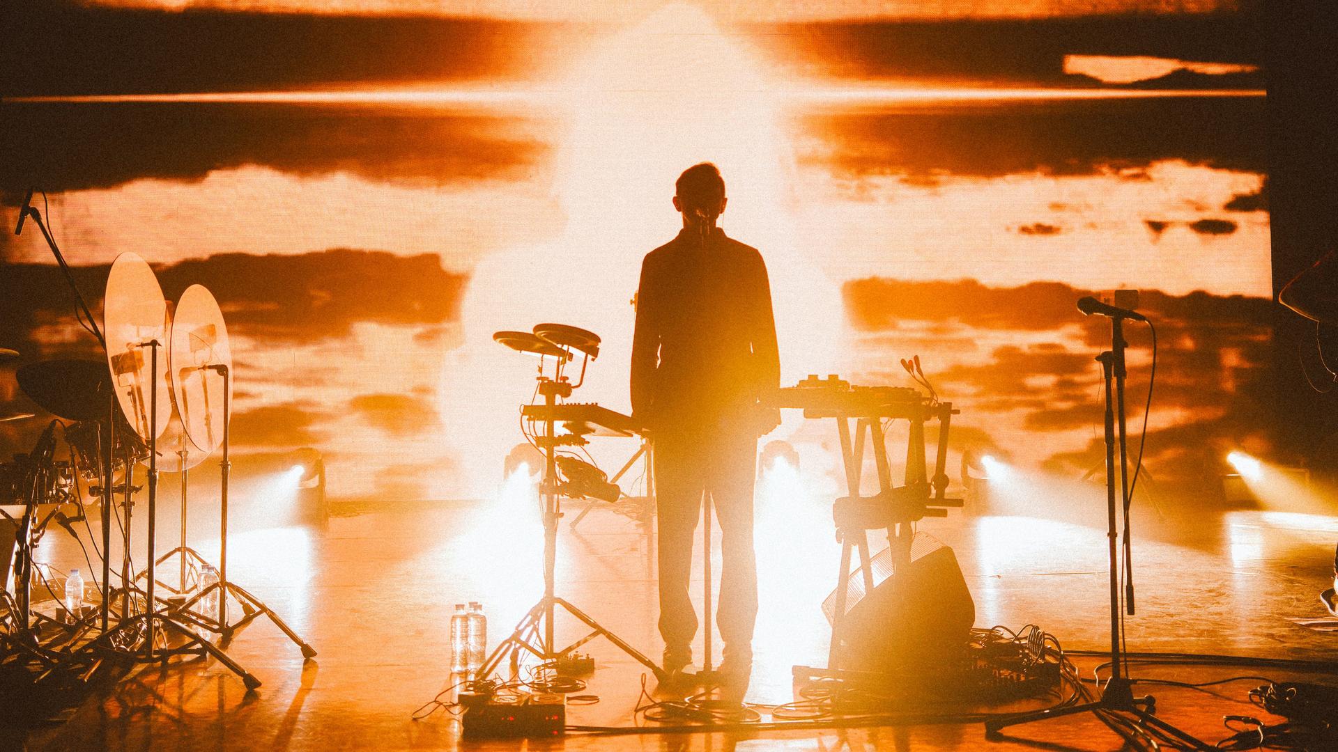 Фото: vk.com Дельфин Dolphin