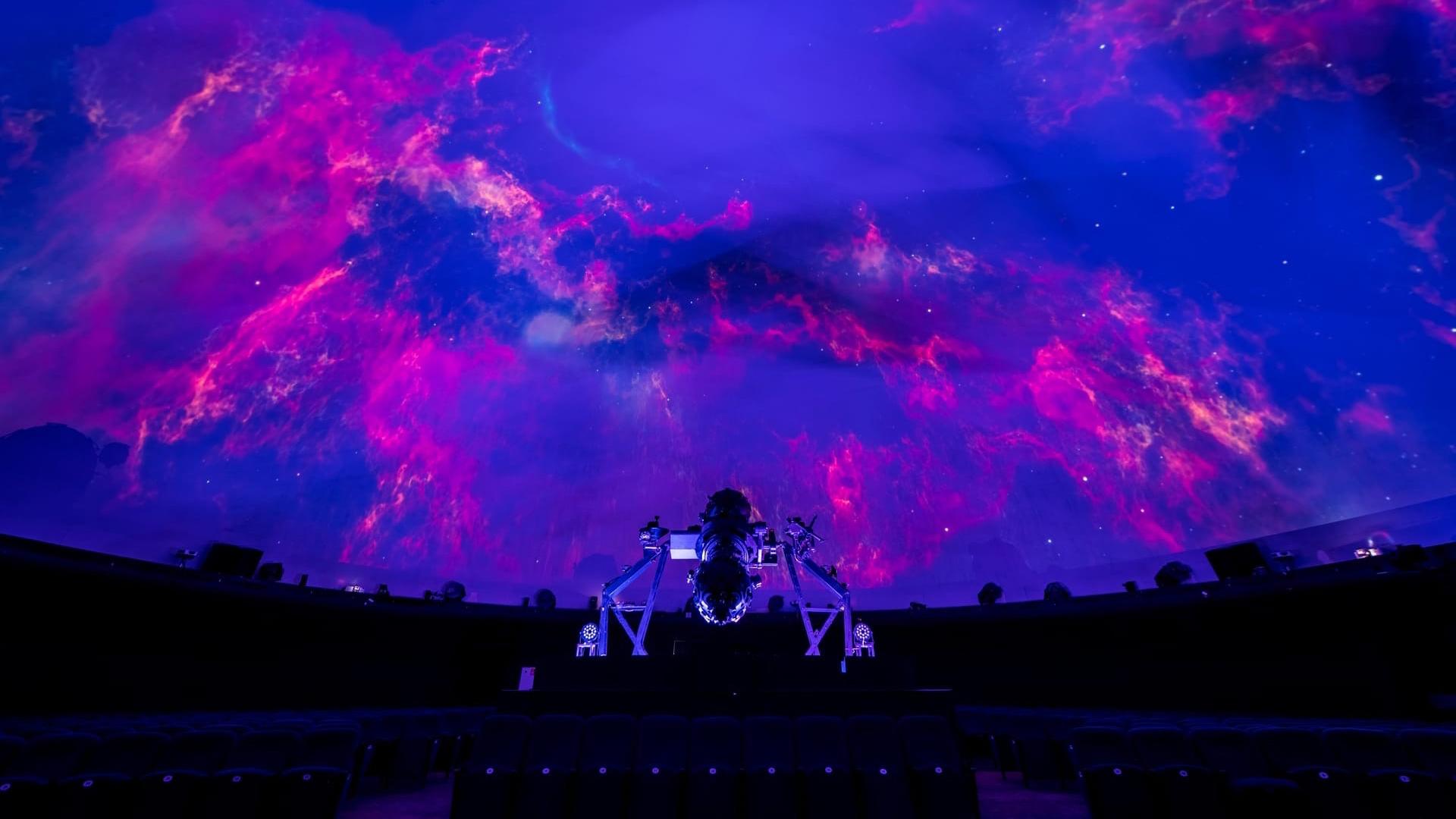 Фото: vk.com planeta_spb