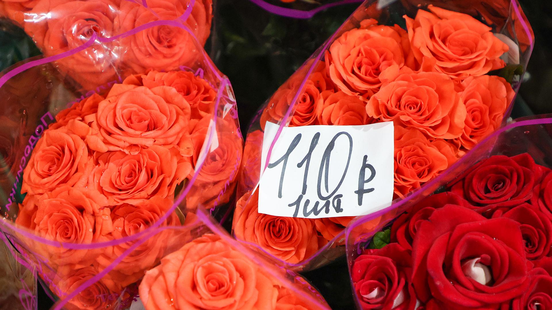 Фото: Belkin Alexey globallookpress.com