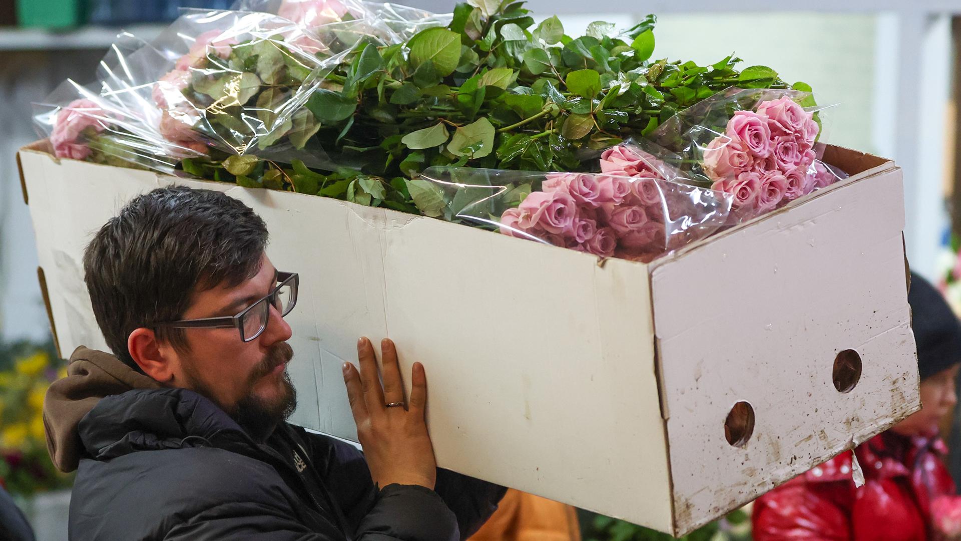 Фото: Belkin Alexey globallookpress.com