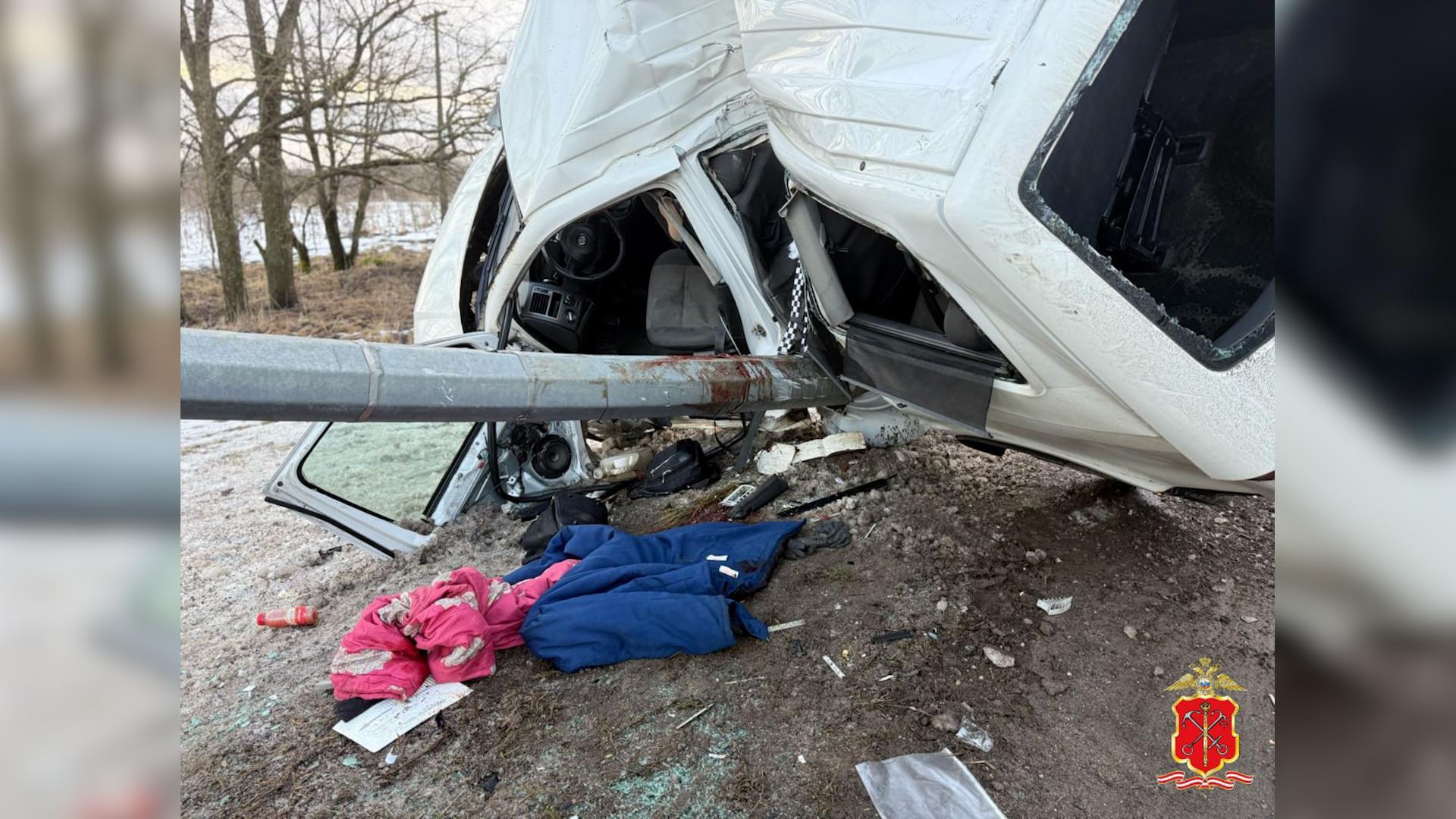 Фото: t.me spb_police78