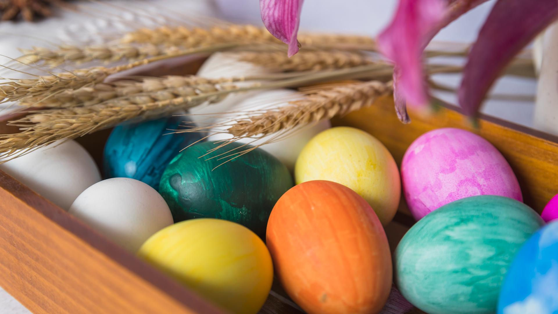 Фото: ru.freepik.com