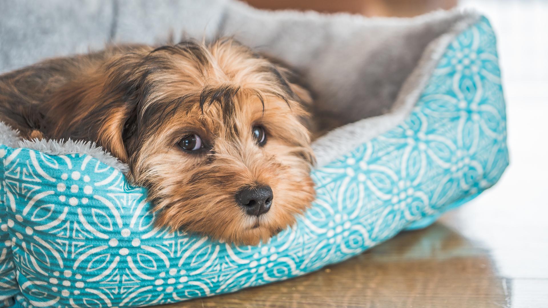 Фото: freepik.com wirestock