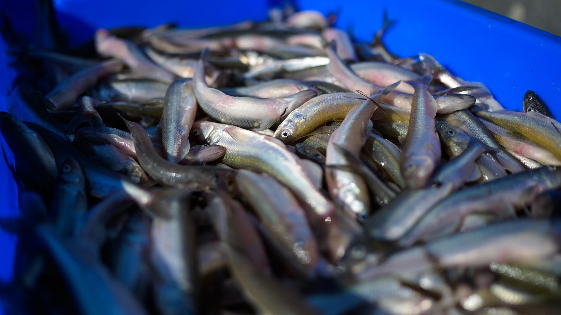 Фото: Philipp Schulze globallookpress.com