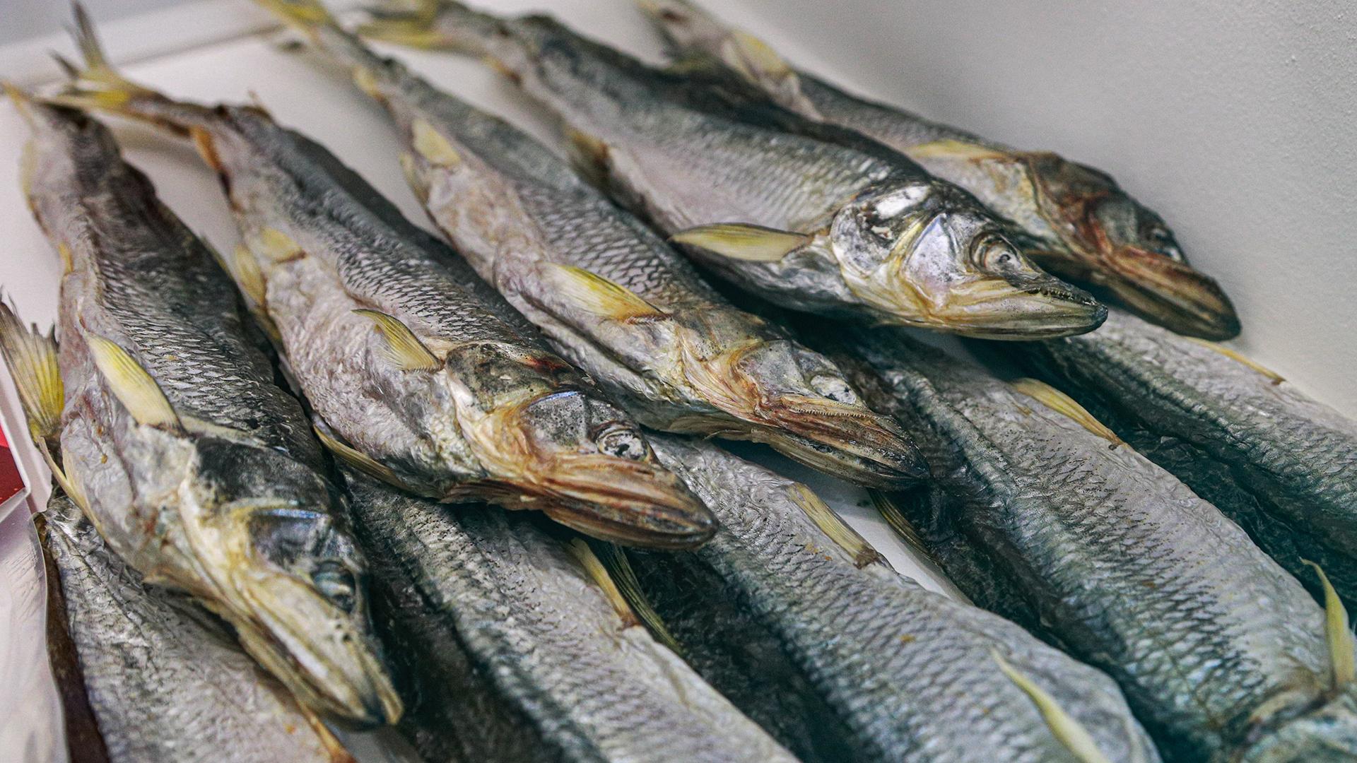 Фото: Bulkin Sergey globallookpress.com