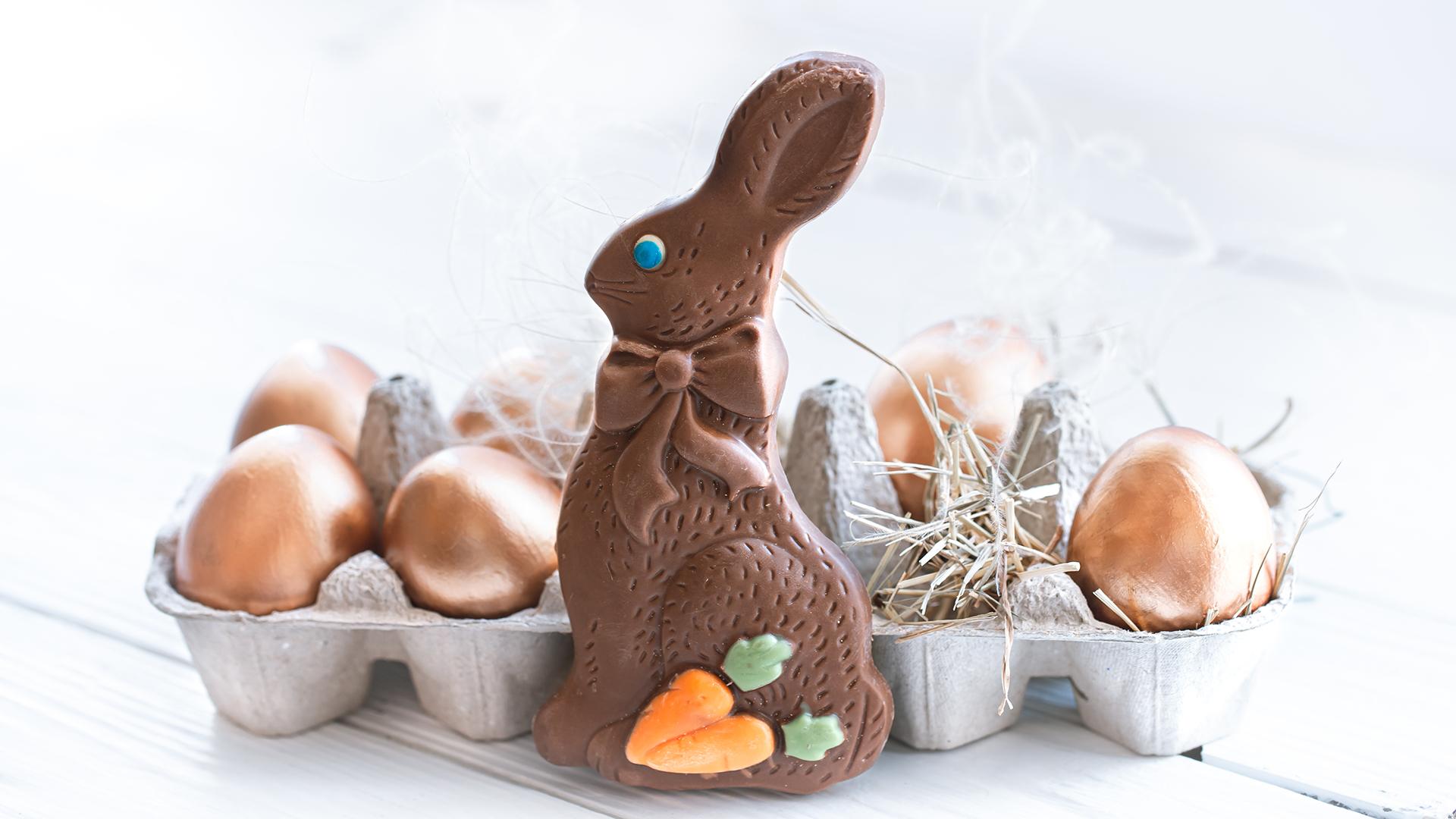 Фото: freepik.com pvproductions