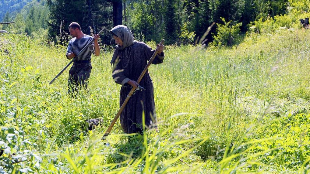 Фото: zapovednik-khakassky.ru