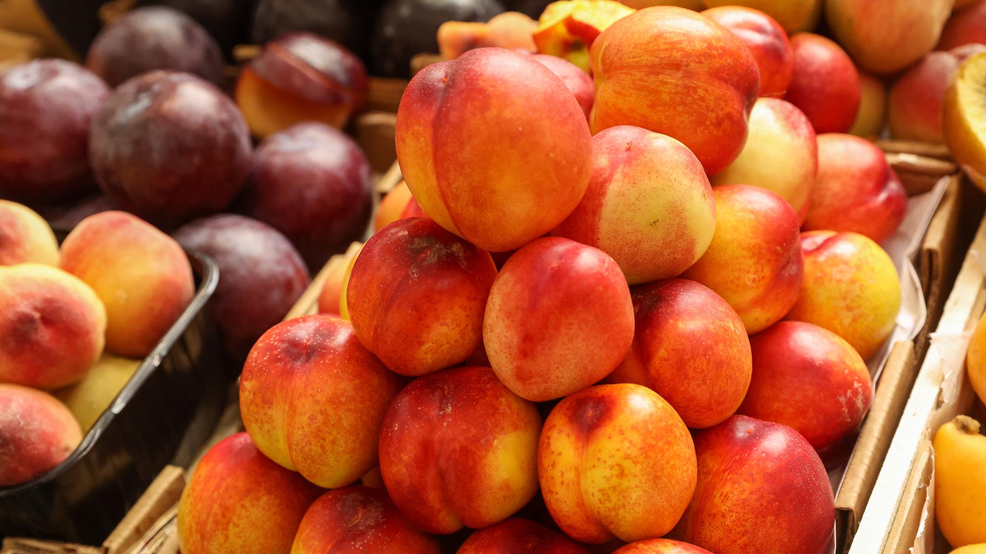 Фото: Petrov Sergey globallookpress.com