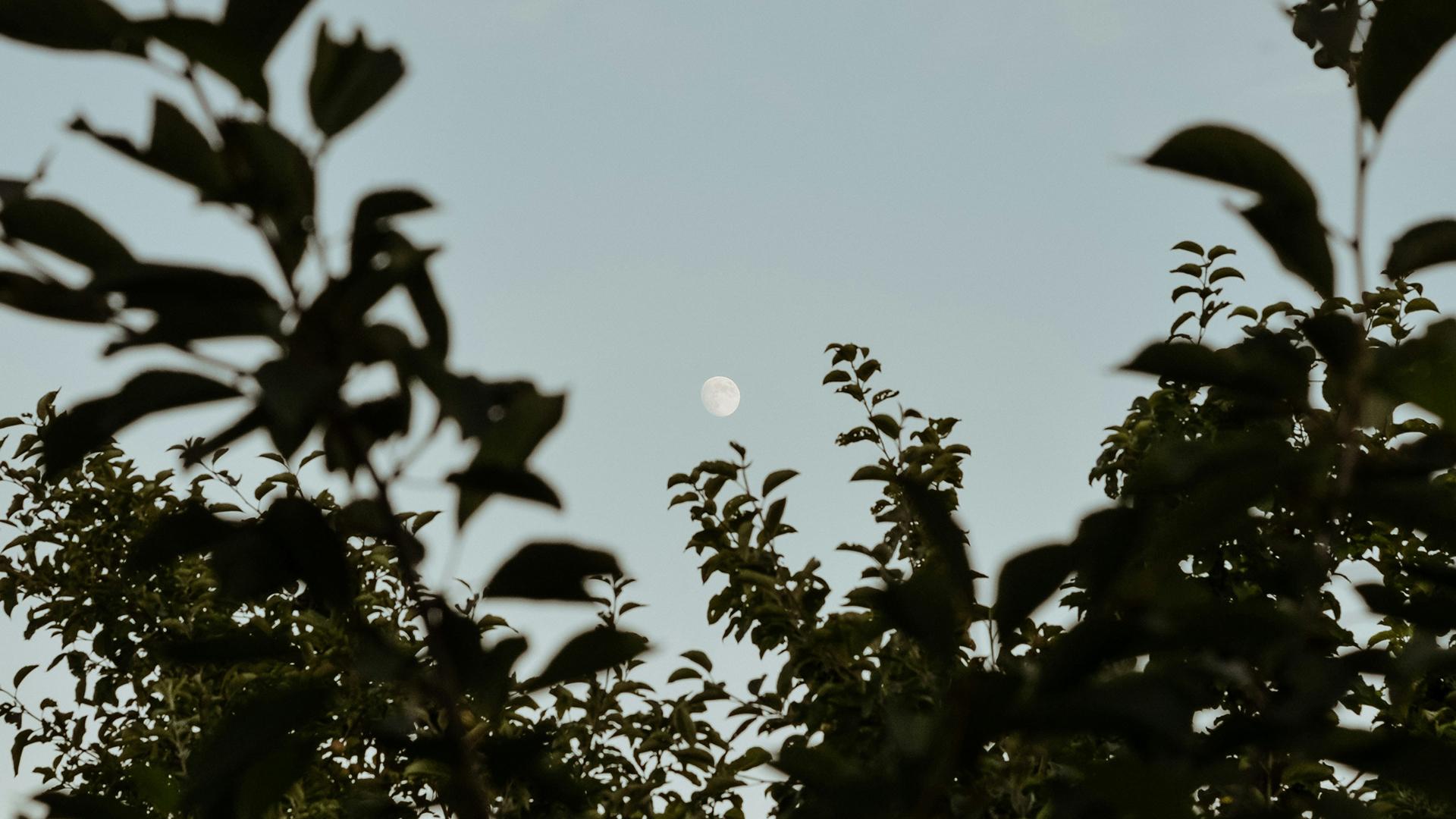 Фото: unsplash.com