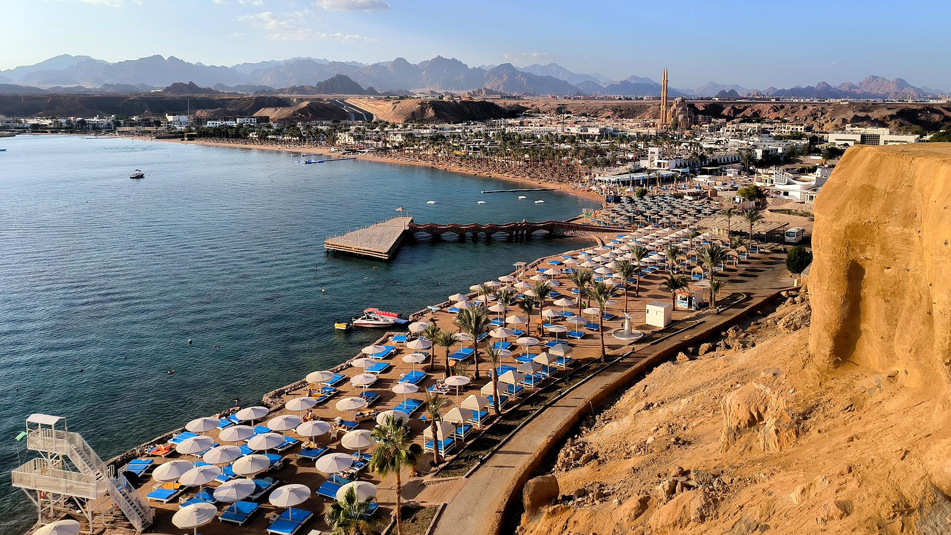 Фото: Maksim Konstantinov globallookpress.com