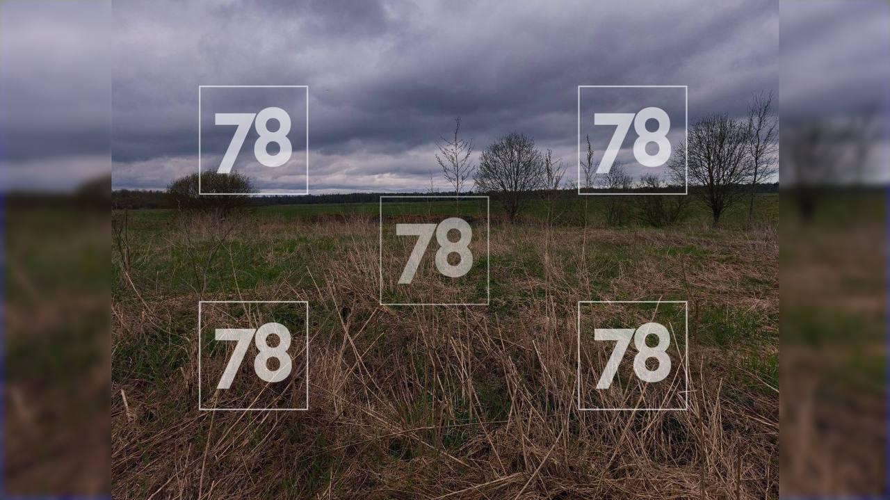 Последнее место поисков Руслана   Фото: 78.ru