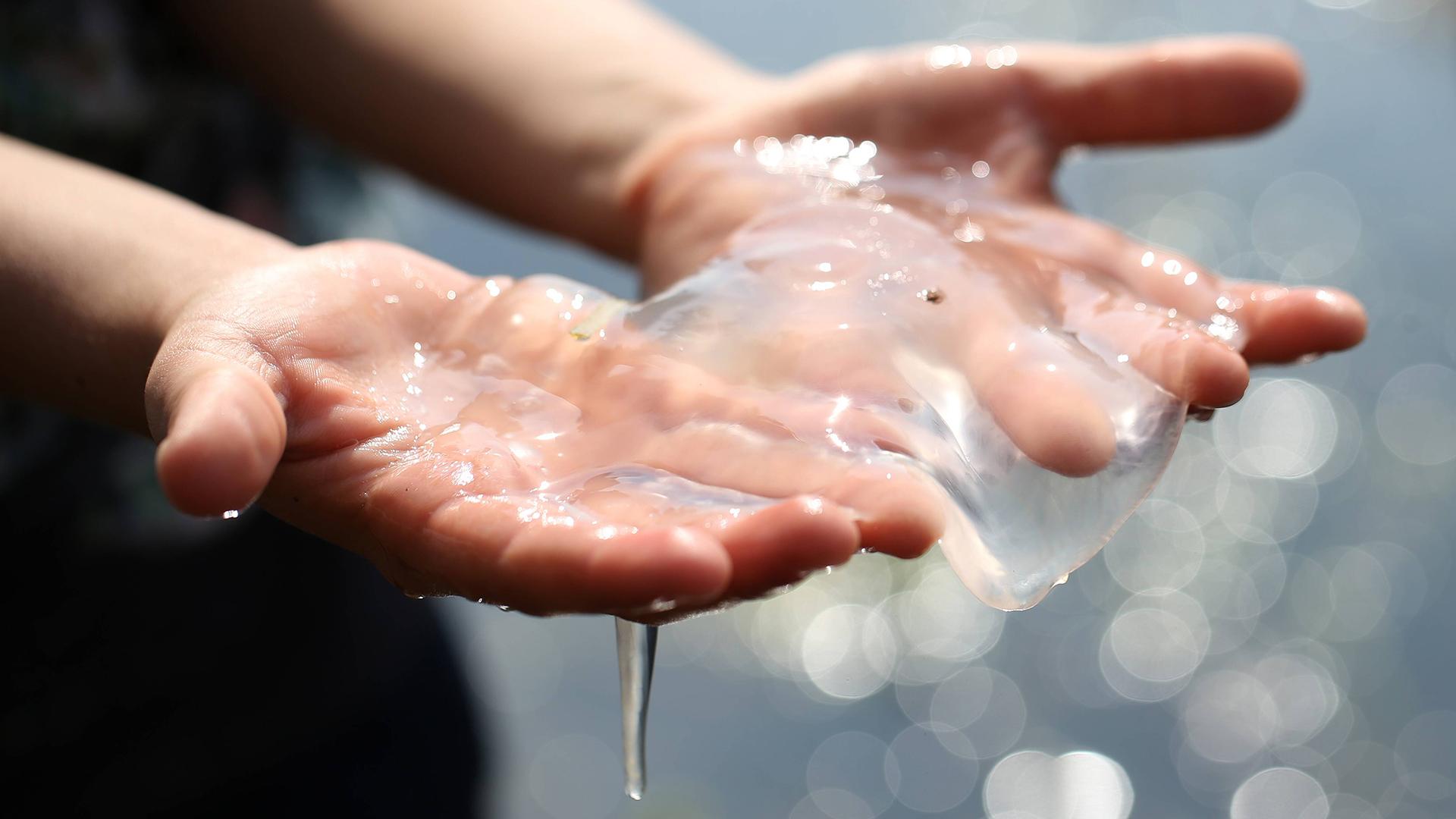 Фото: Andreas Gora globallookpress.com