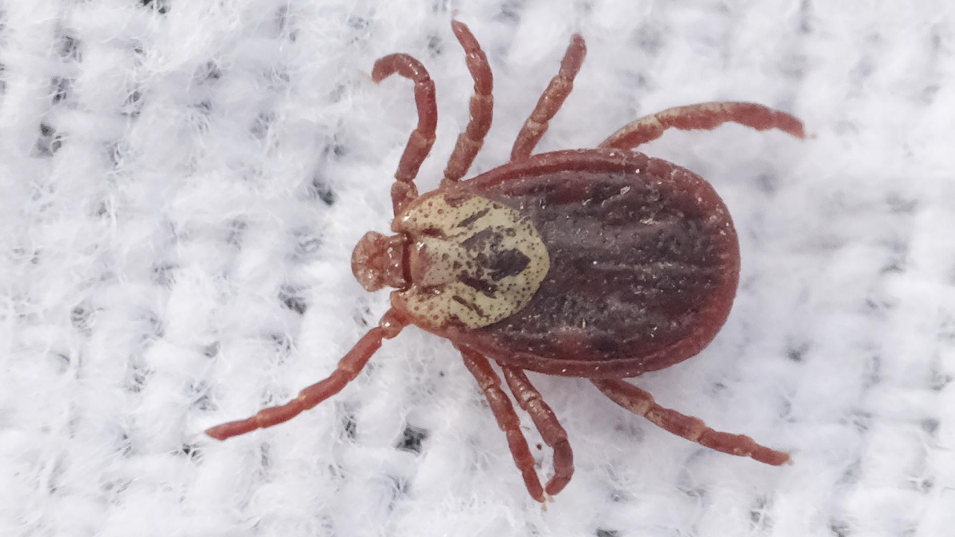 Фото: Sebastian Willnow globallookpress.com