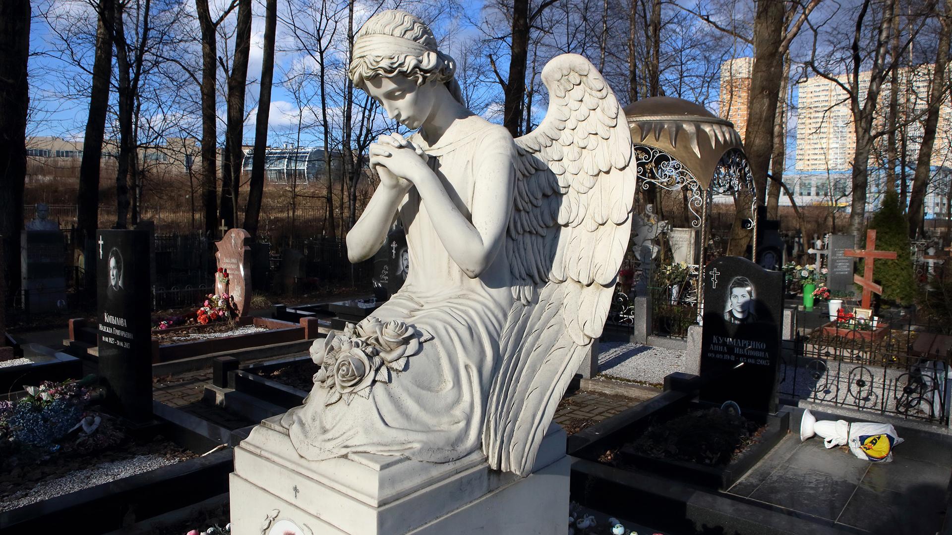 Фото: Zamir Usmanov globallookpress.com