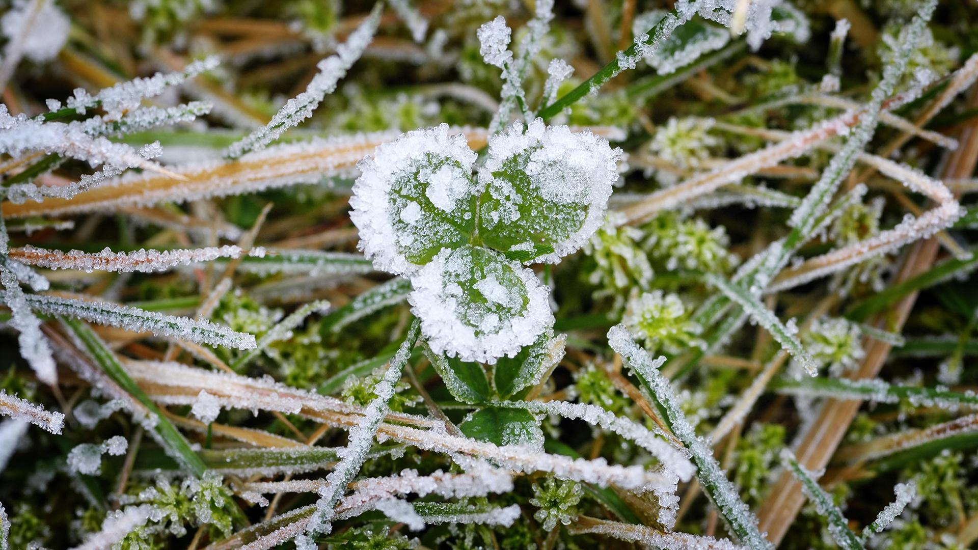 Фото: Christian Ohde globallookpress.com