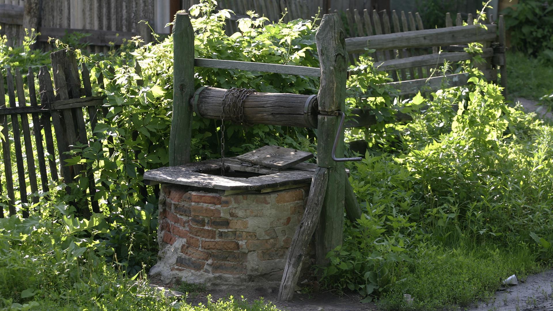 Фото: Nikolay Titov globallookpress.com