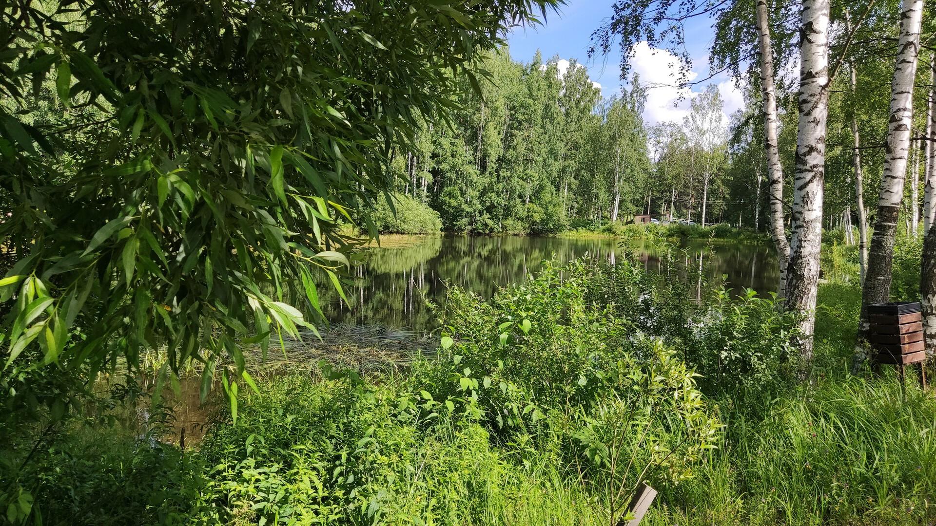 Фото: vk.com   Комитет по благоустройству Санкт-Петербурга