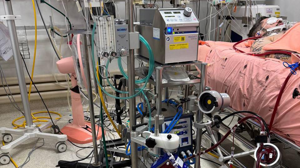 Фото: tg-канал проекта »Выжившие