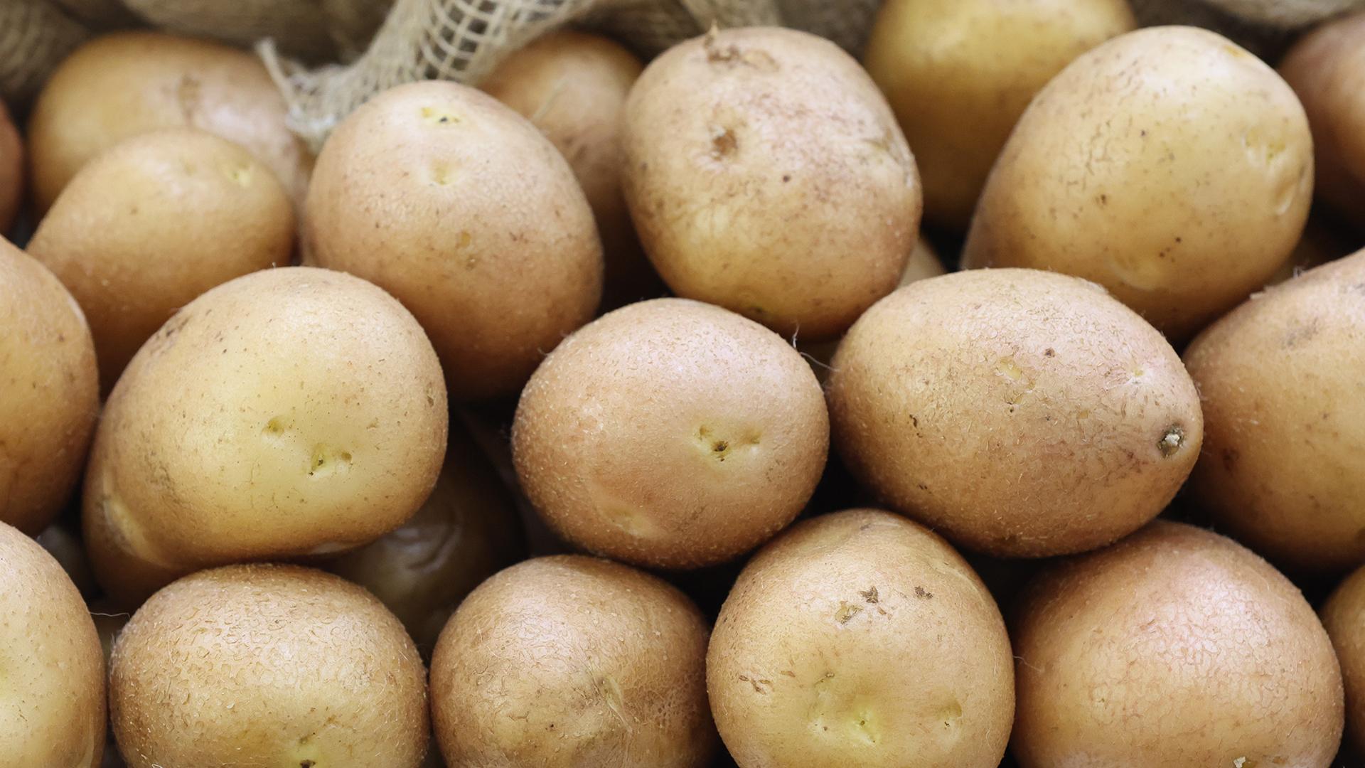 Фото: Belkin Alexey globallookpress.com