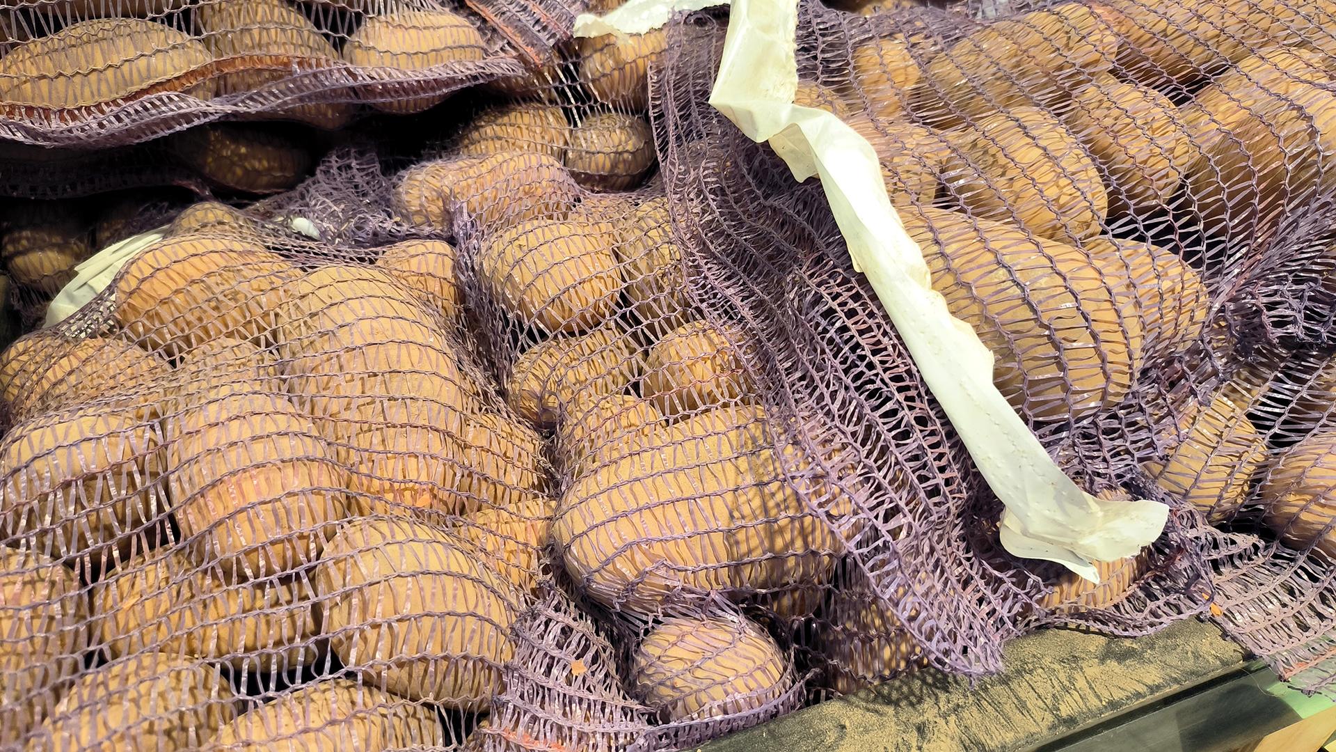 Фото: Maksim Konstantinov globallookpress.com