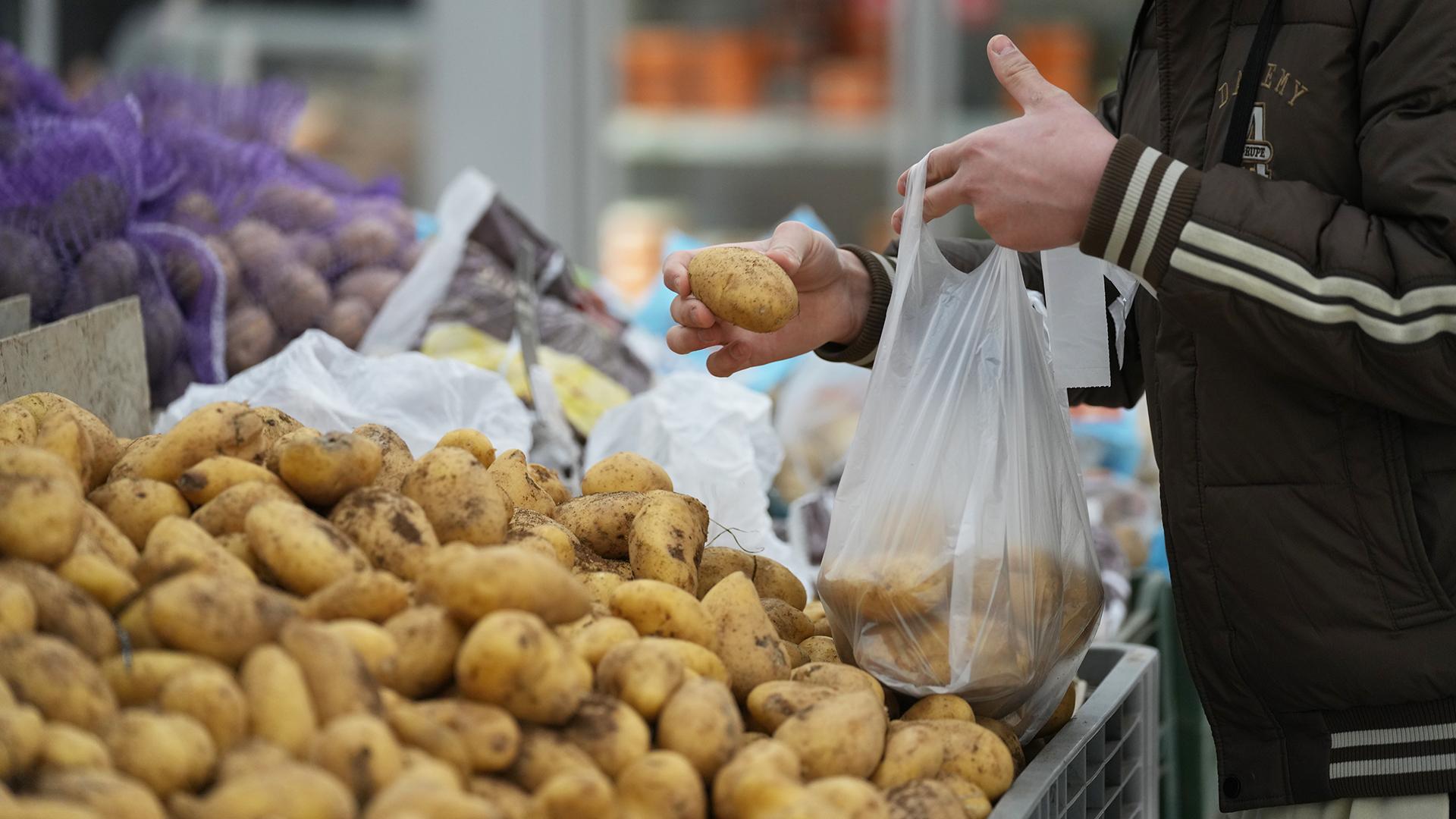 Фото: ИЗВЕСТИЯ Дмитрий Коротаев