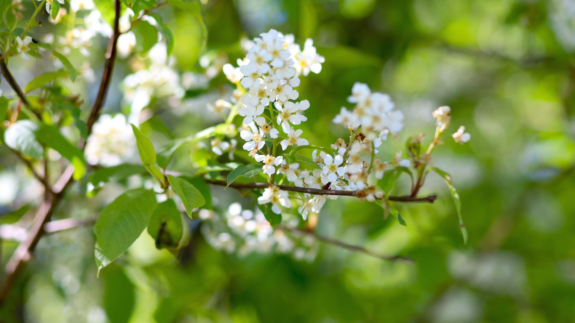 Фото: Elena Mayorova globallookpress.com