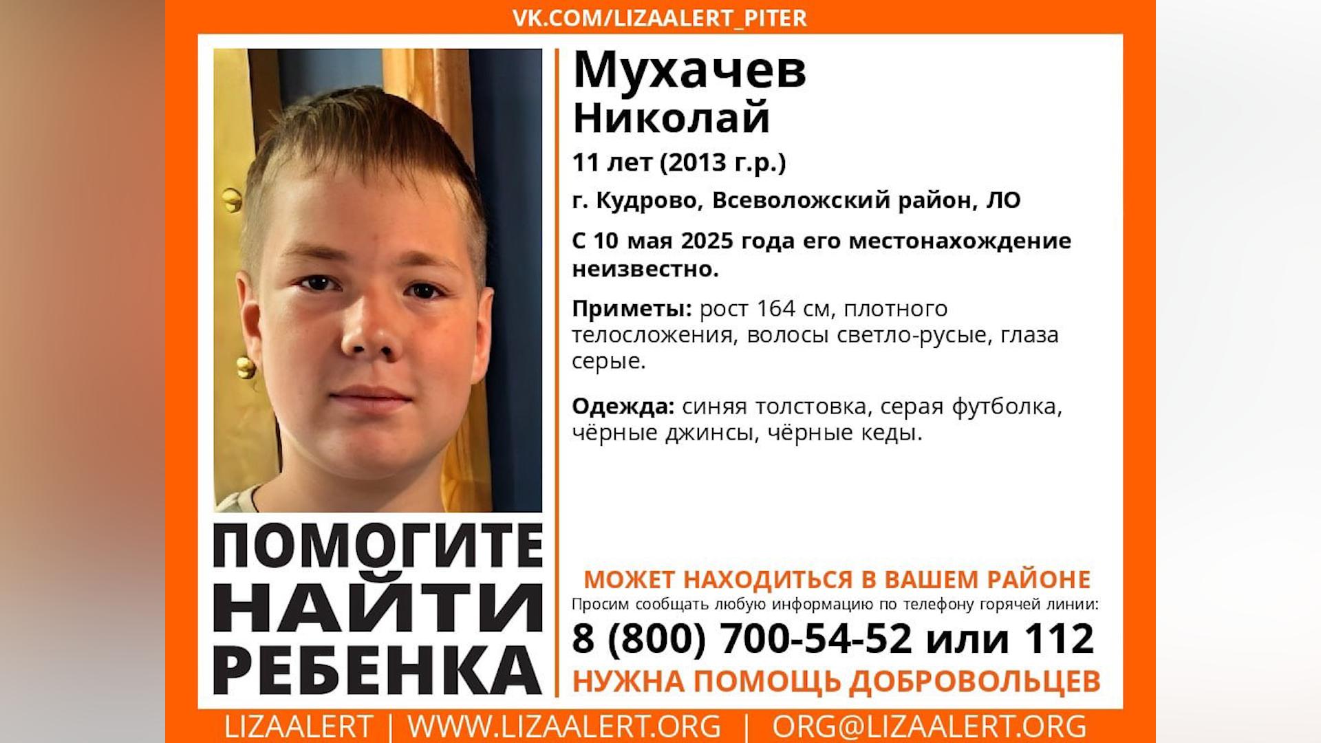 Фото: lizaalert.org