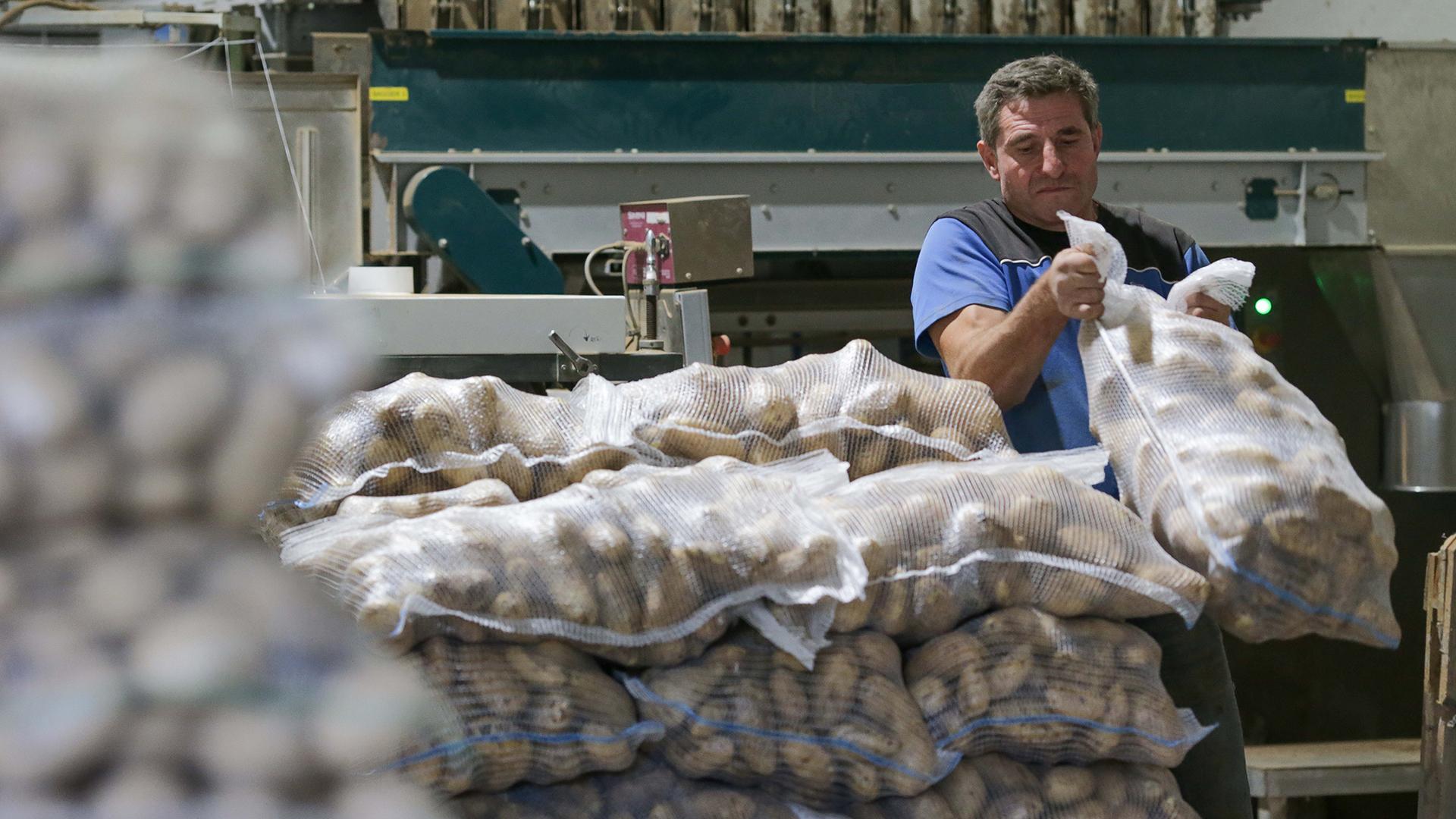 Фото: Carlos Castro globallookpress.com