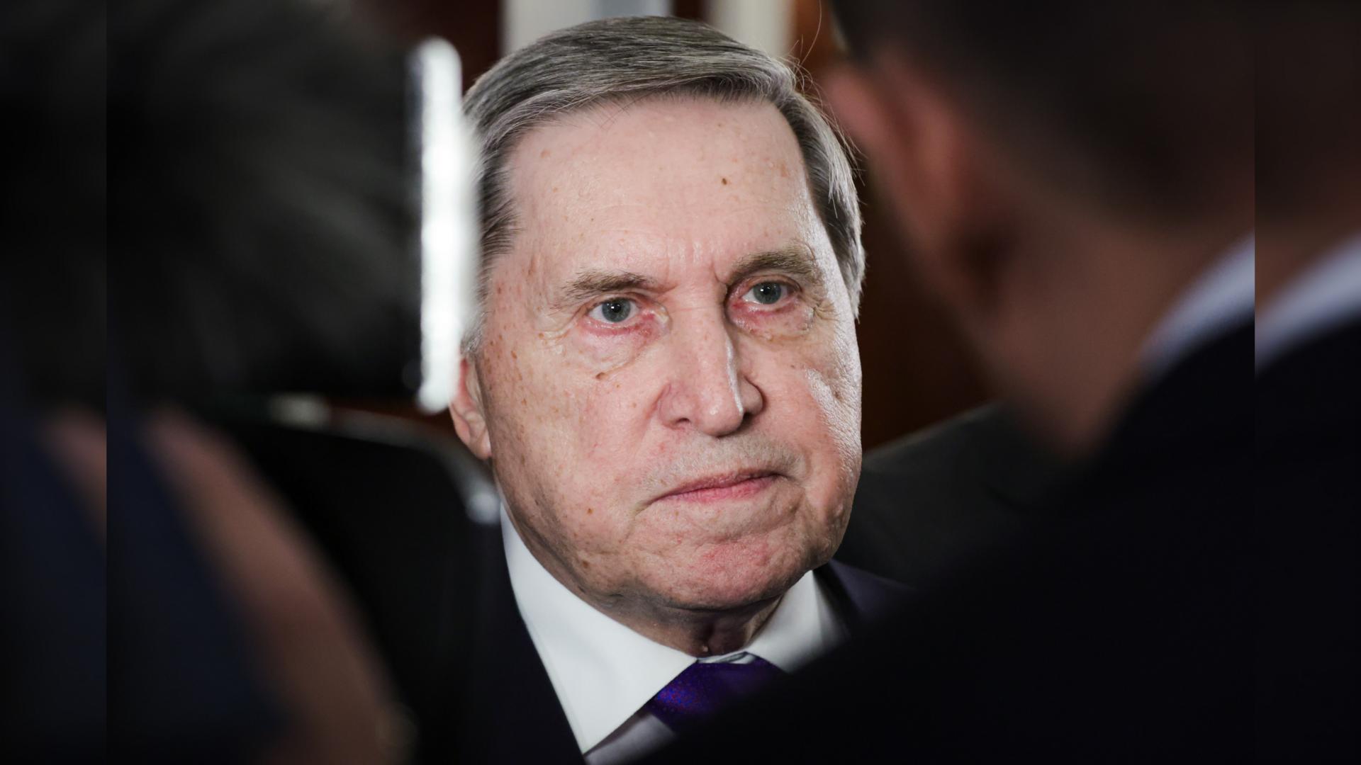 Фото: Roman Naumov globallookpress.com