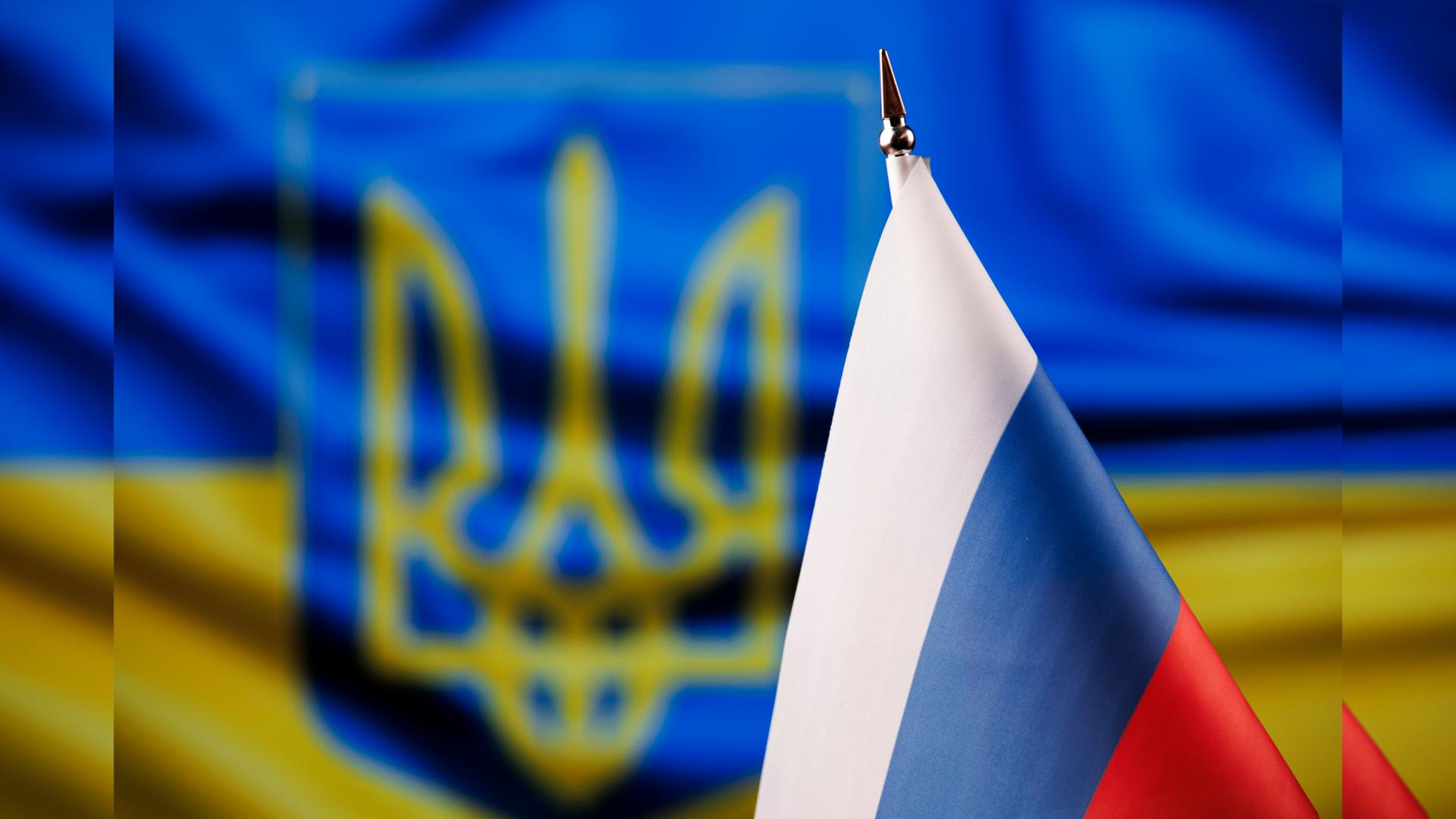 Фото: Sergey Elagin globallookpress.com