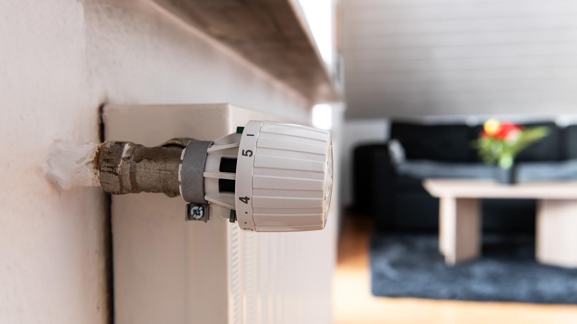 Фото: Silas Stein globallookpress.com